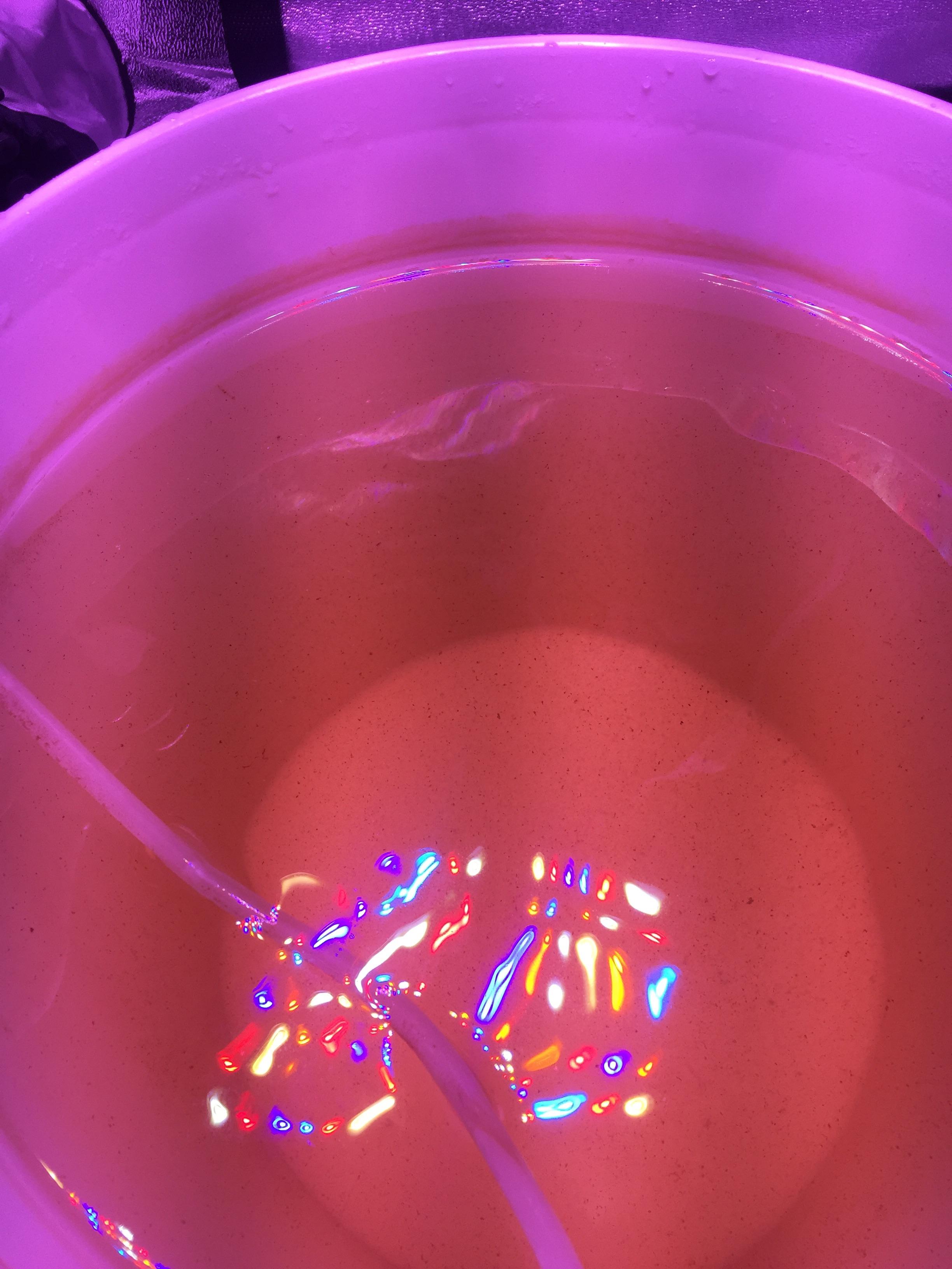 Red/orange residue on all surfaces + small bits floating in water. No