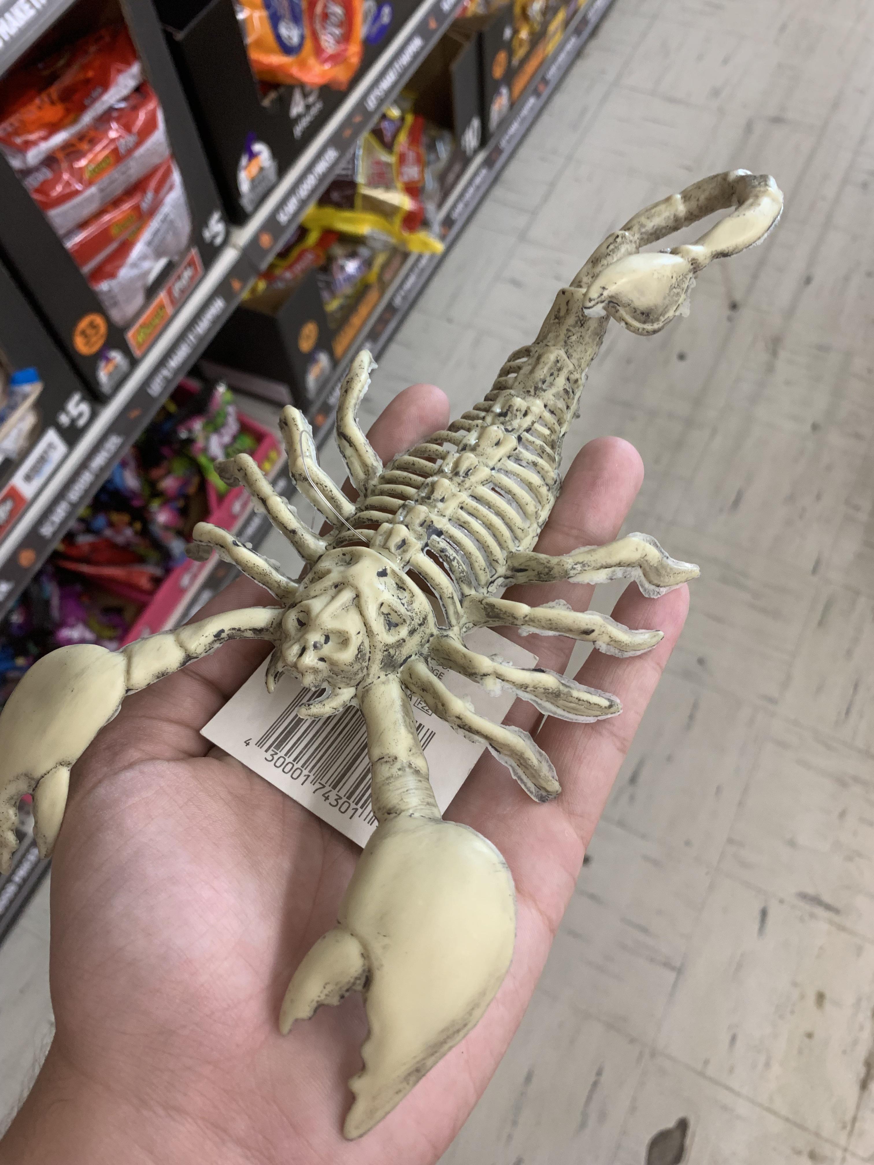 A skeleton decoration depicting an animal that does not have a skeleton