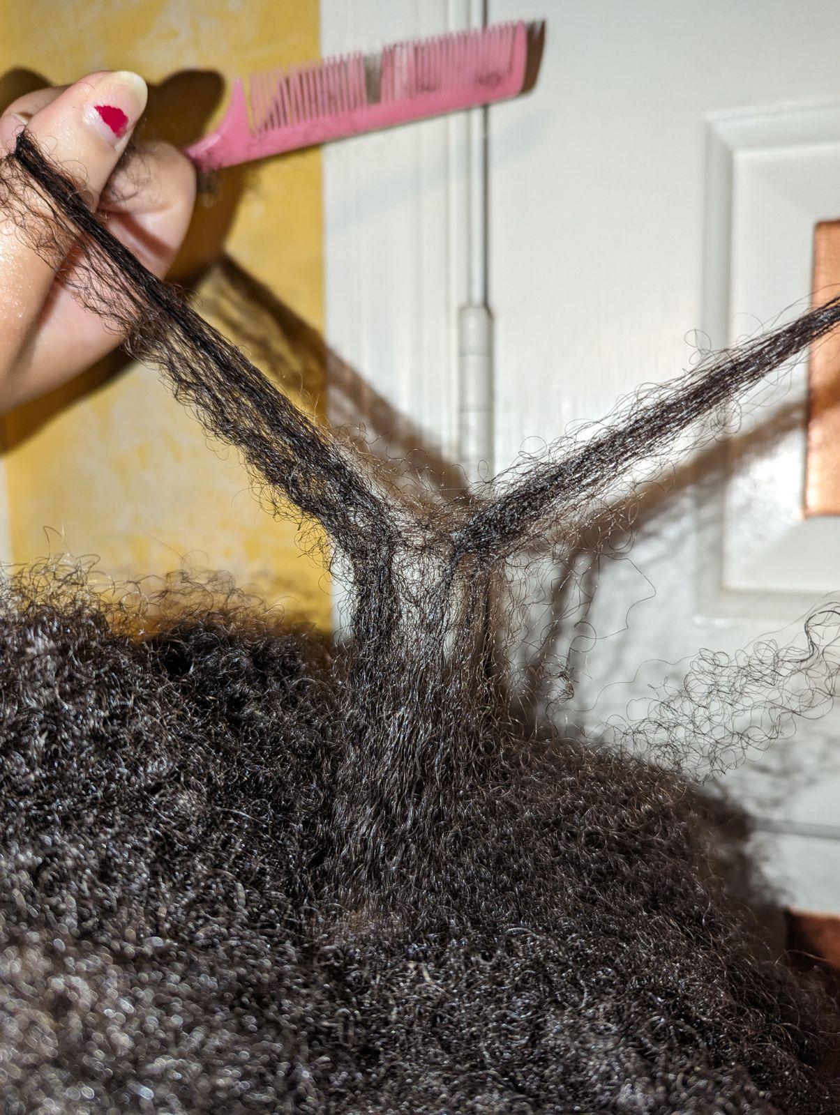 Why does my hair keep knotting like this? r/BlackHair