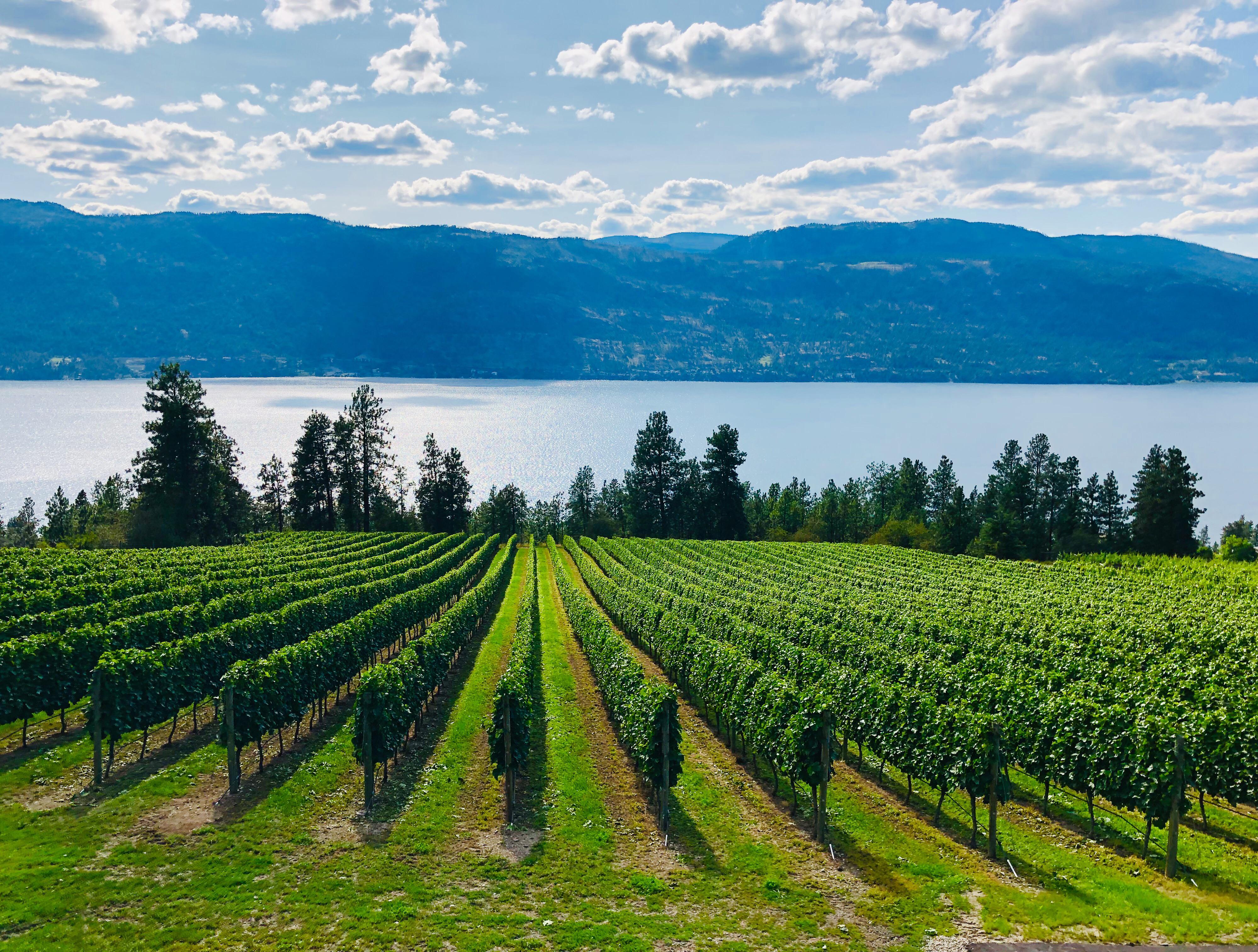 Lake Country, BC r/britishcolumbia