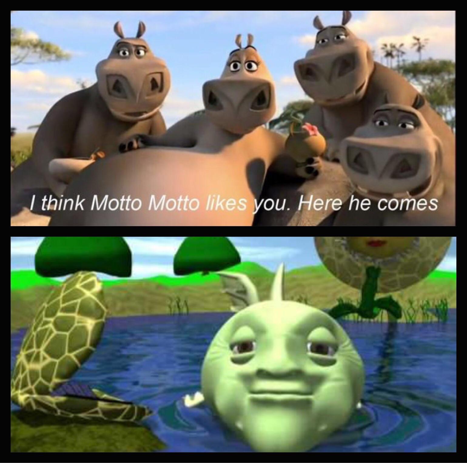 Moto moto memes are getting hot buy fast MemeEconomy