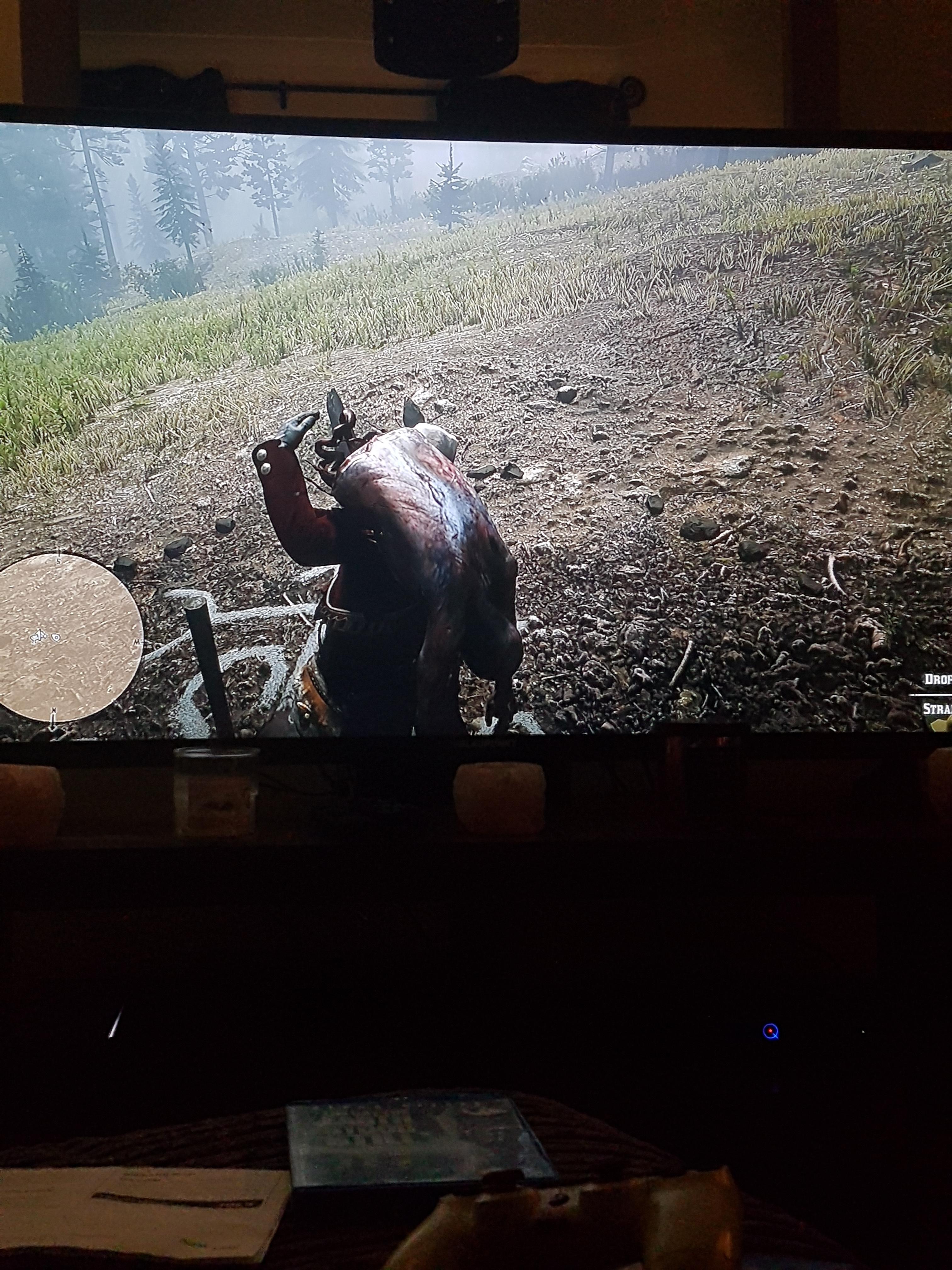 Was able to pick up the body r/reddeadmysteries