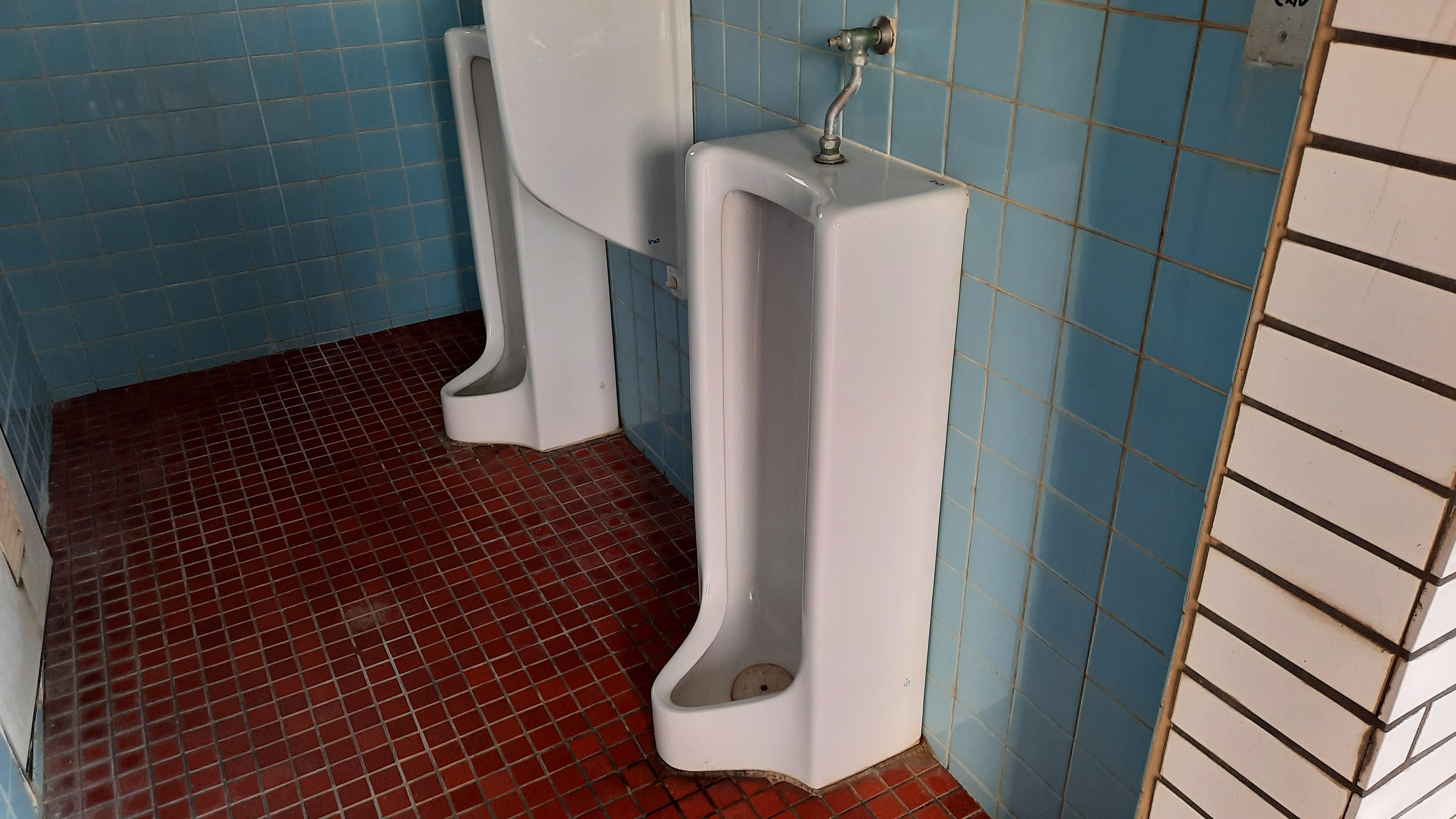 overview for eelboob