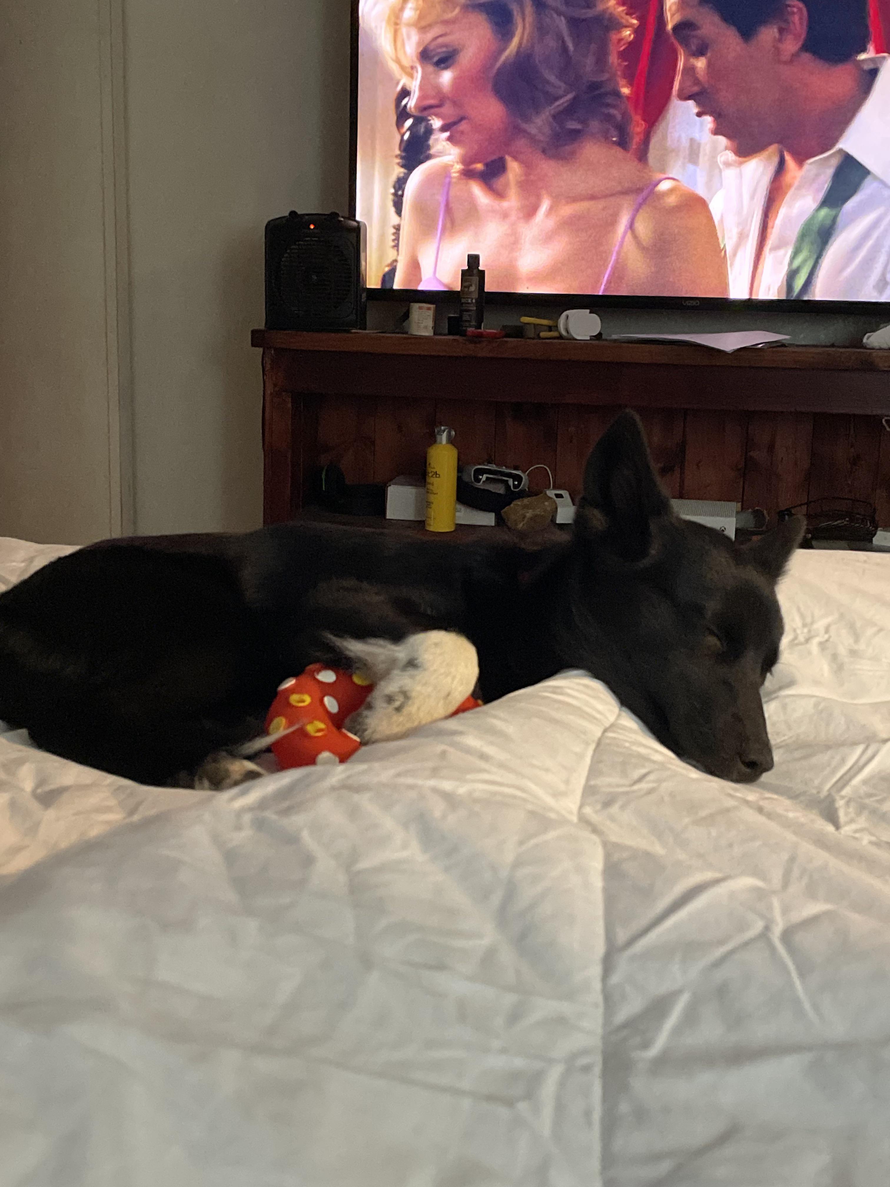 I need help! Any advice on potty training will be helpful. I let her