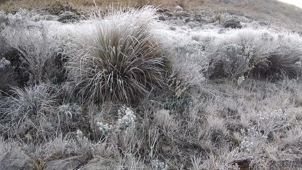 Itatiaia National Park in Rio de Janeiro state records 11.4°C, breaks