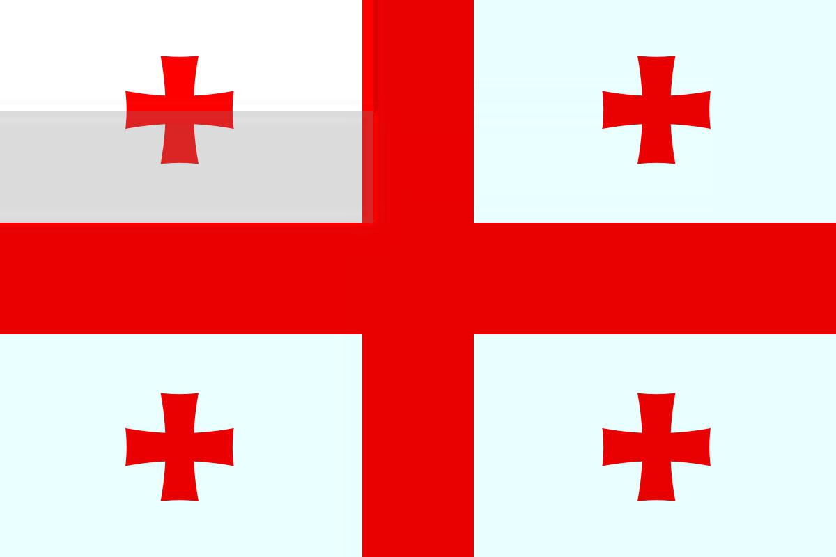 Flag of (the country of) but the old flag is burnt in the LCD