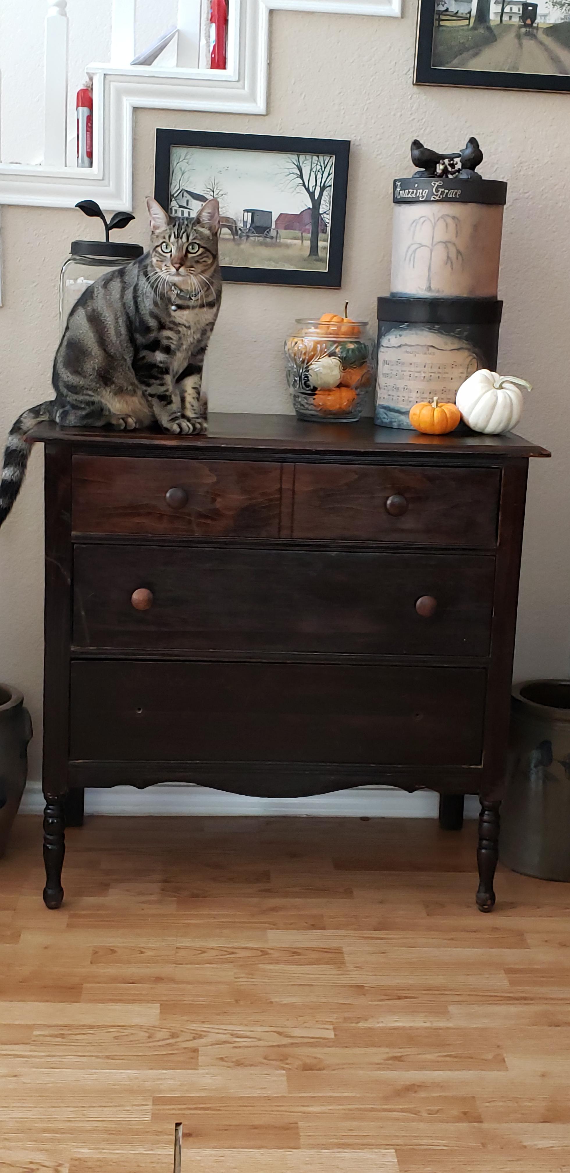 My 30 craigslist find! Oak, will refinish in time. Oh, and my manager