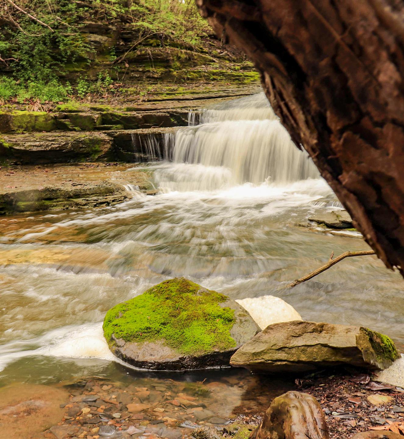 Don't Go Chasin' Waterfalls r/naturephotography