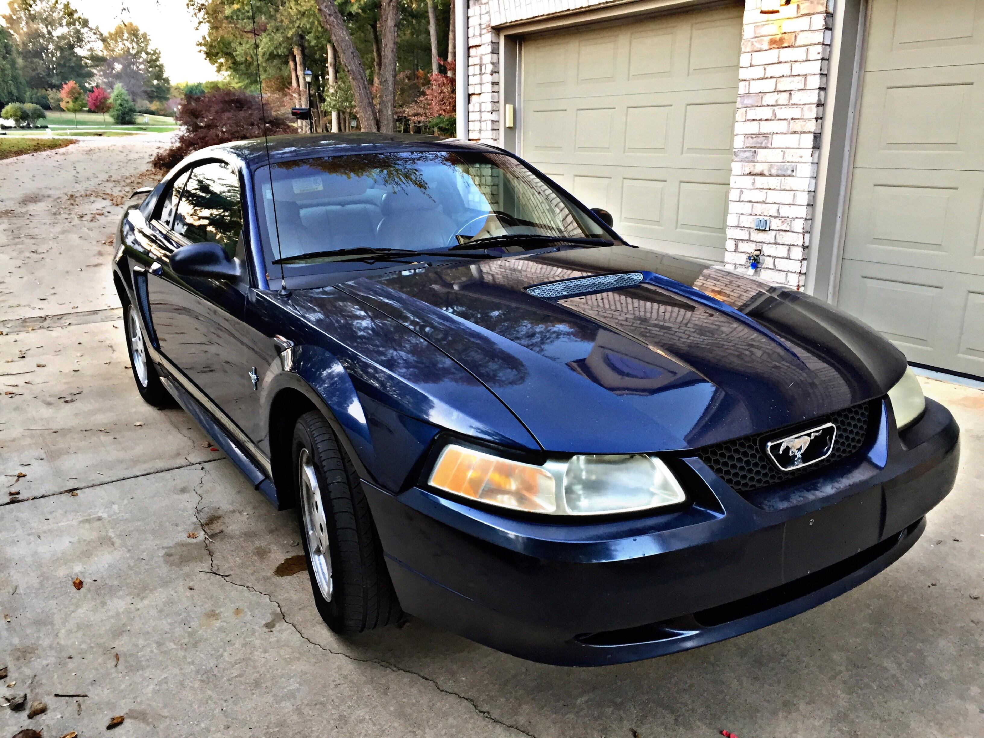 1111 best V6 Mustang images on Pholder | Mustang, Newedge Mustang and Ford