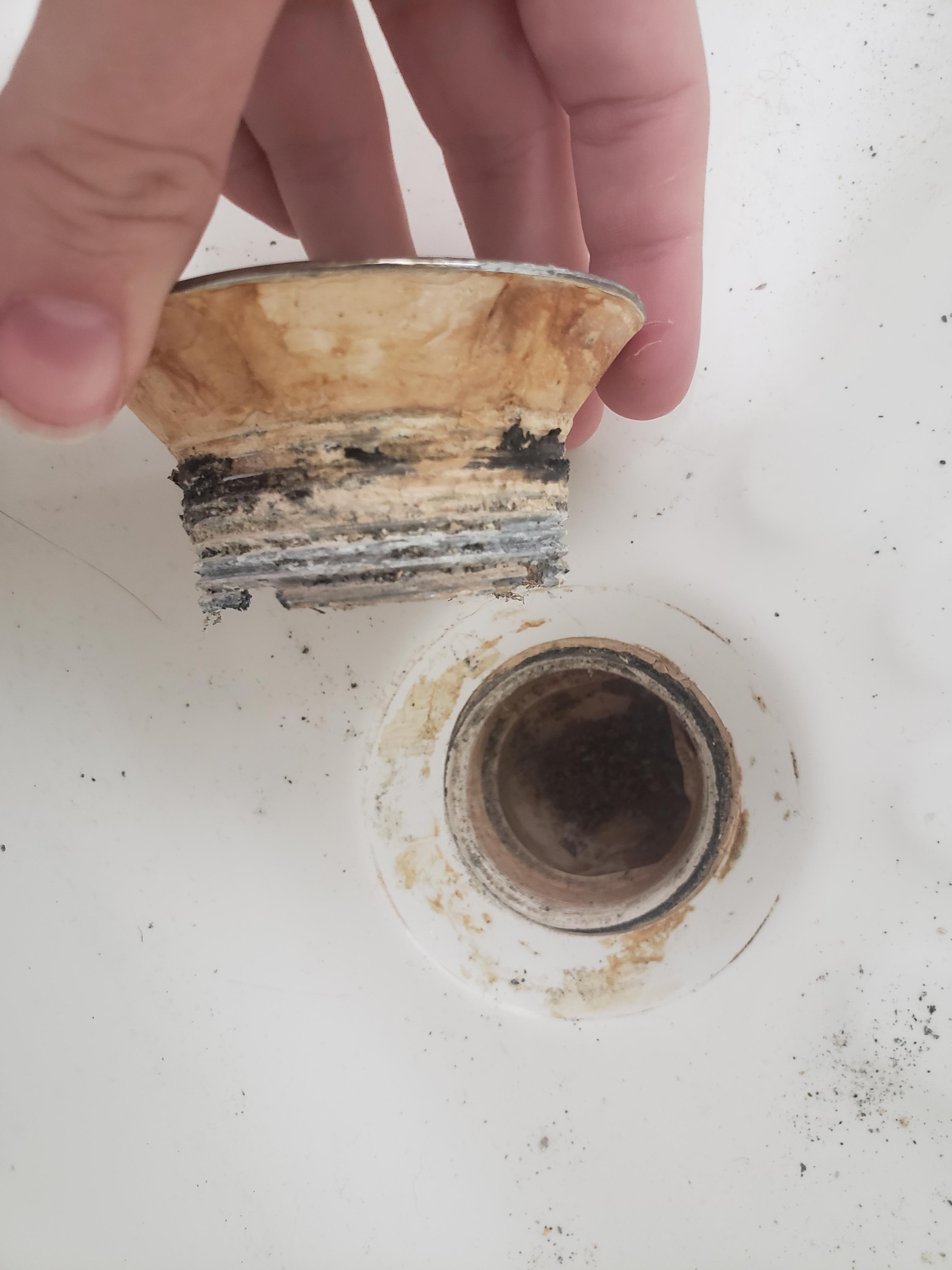 Went to do what I thought would be a 10min job but once I got my bathtub drain out I found it