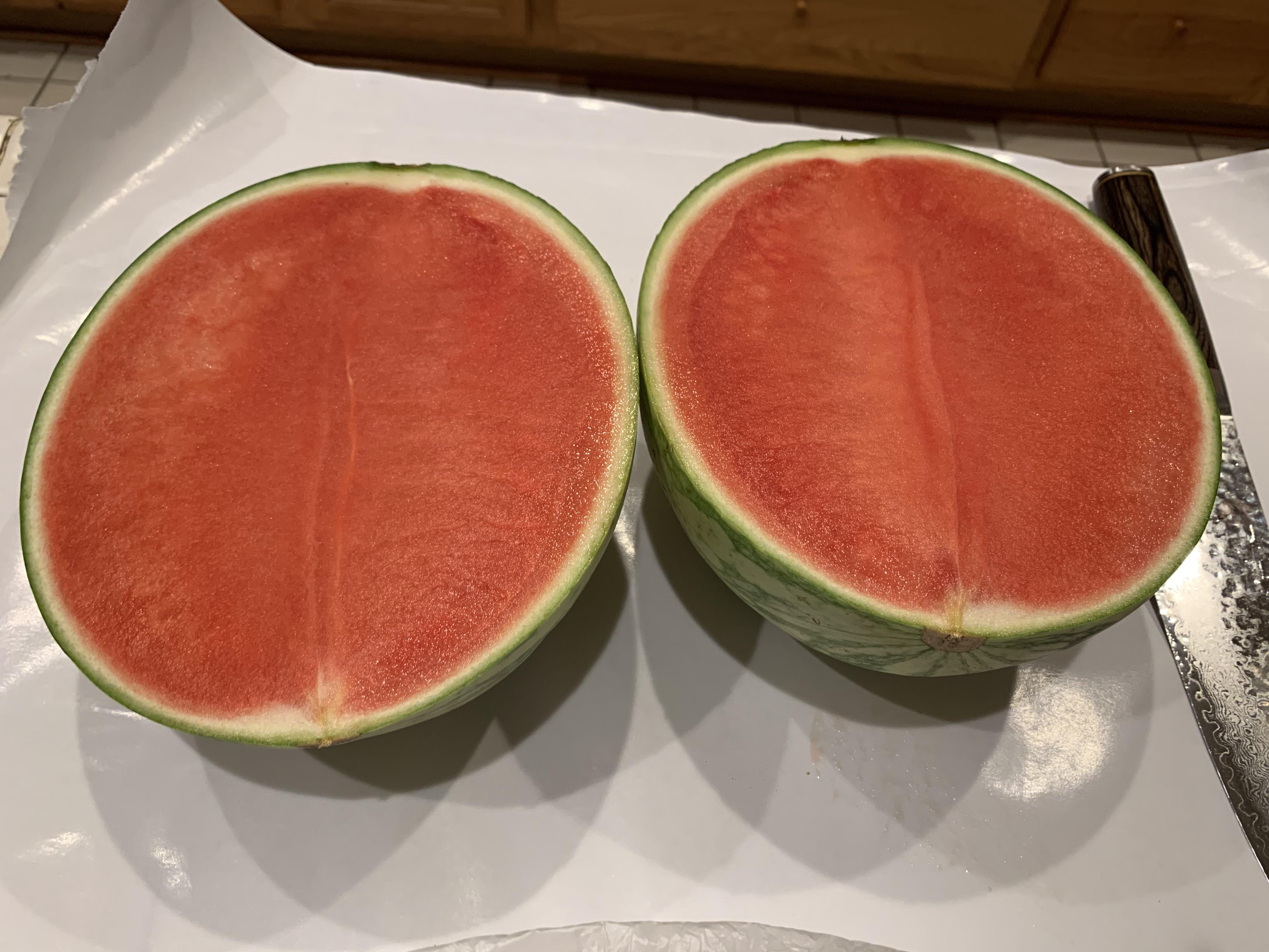 Sliced a watermelon in half and it’s perfectly seedless. r
