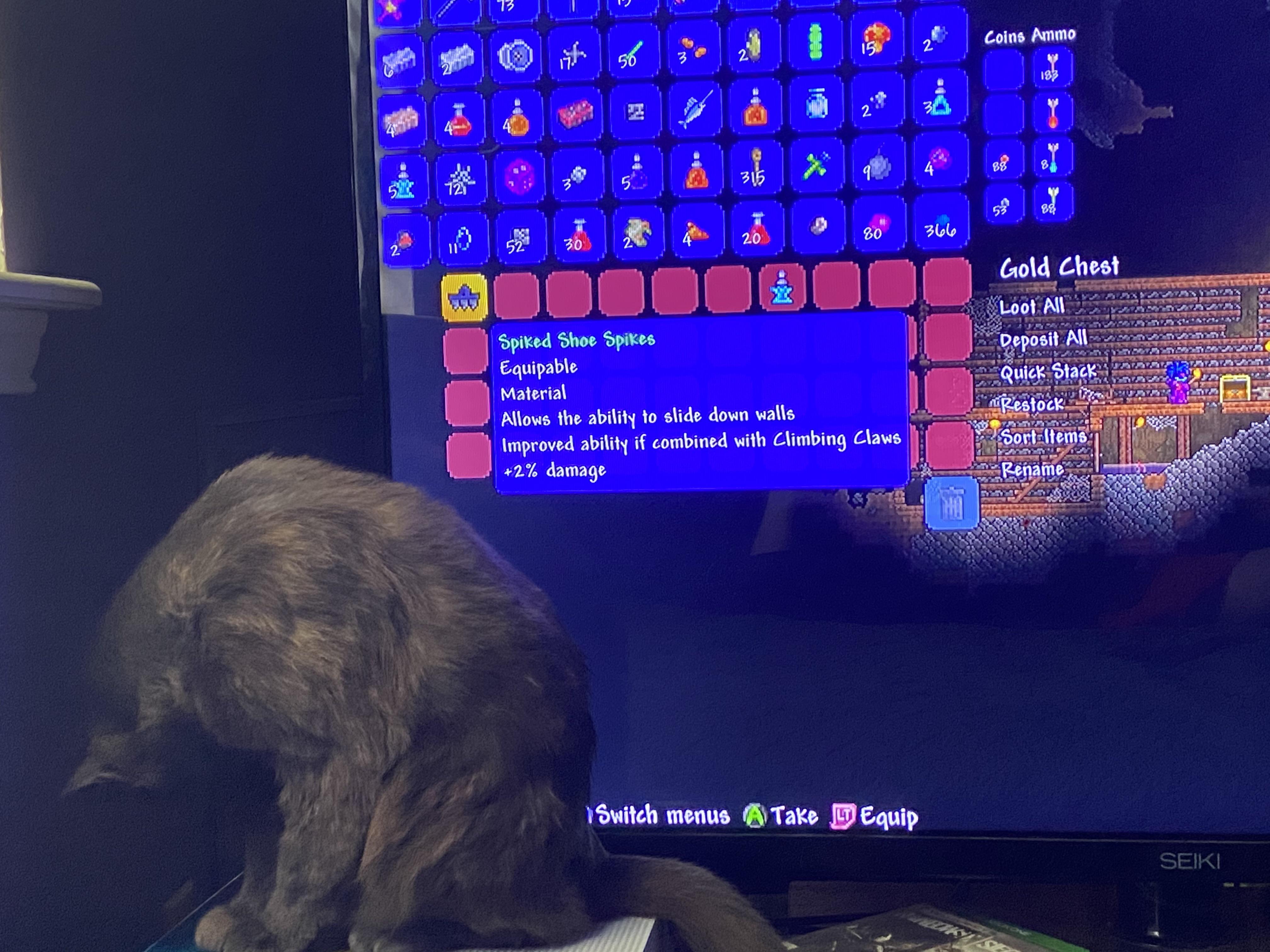 Playing terraria with my cat and found spiked shoe spikes r/Terraria