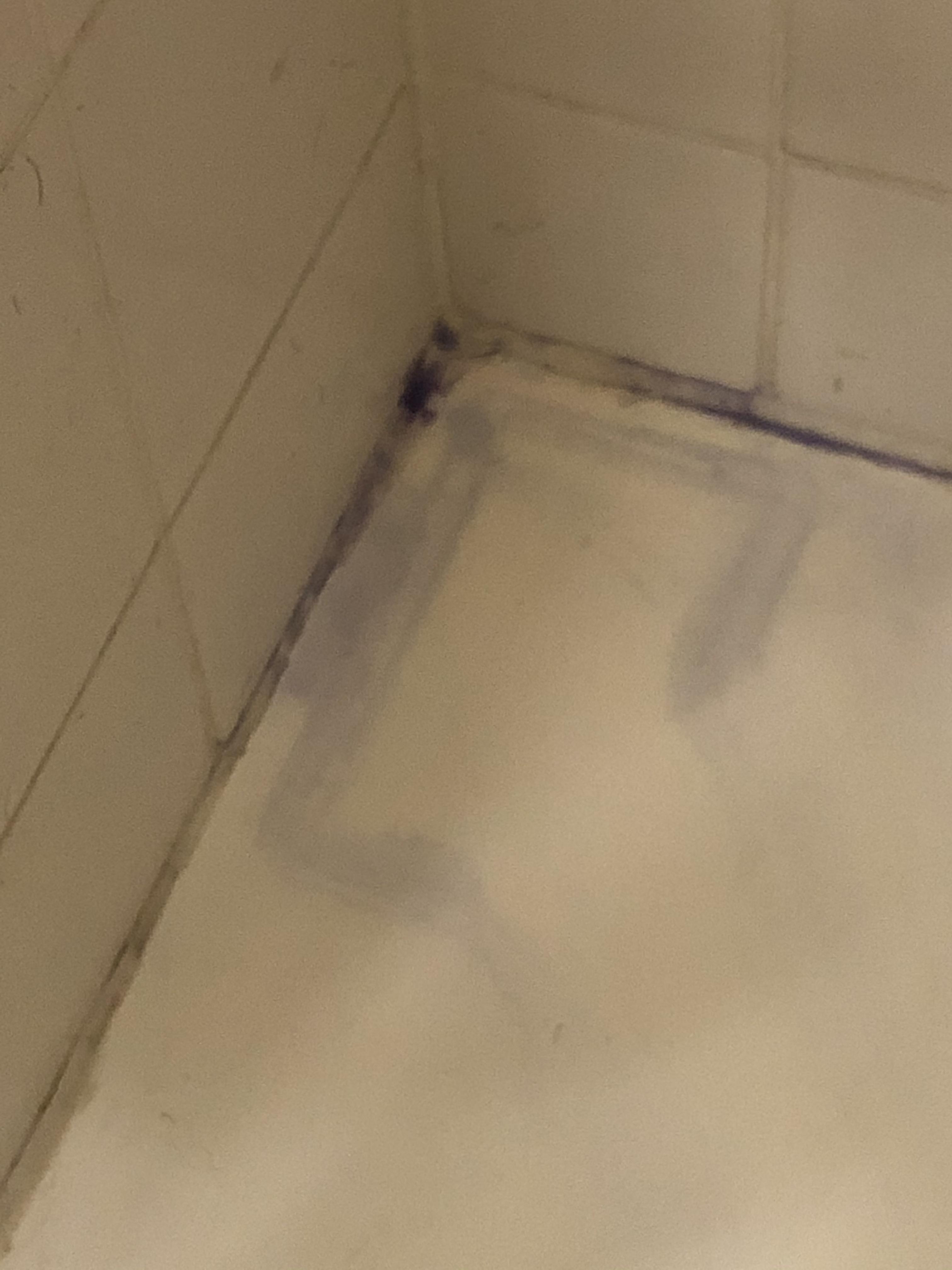 Help!! How do I get the purple stains out of my tub?! r/LushCosmetics