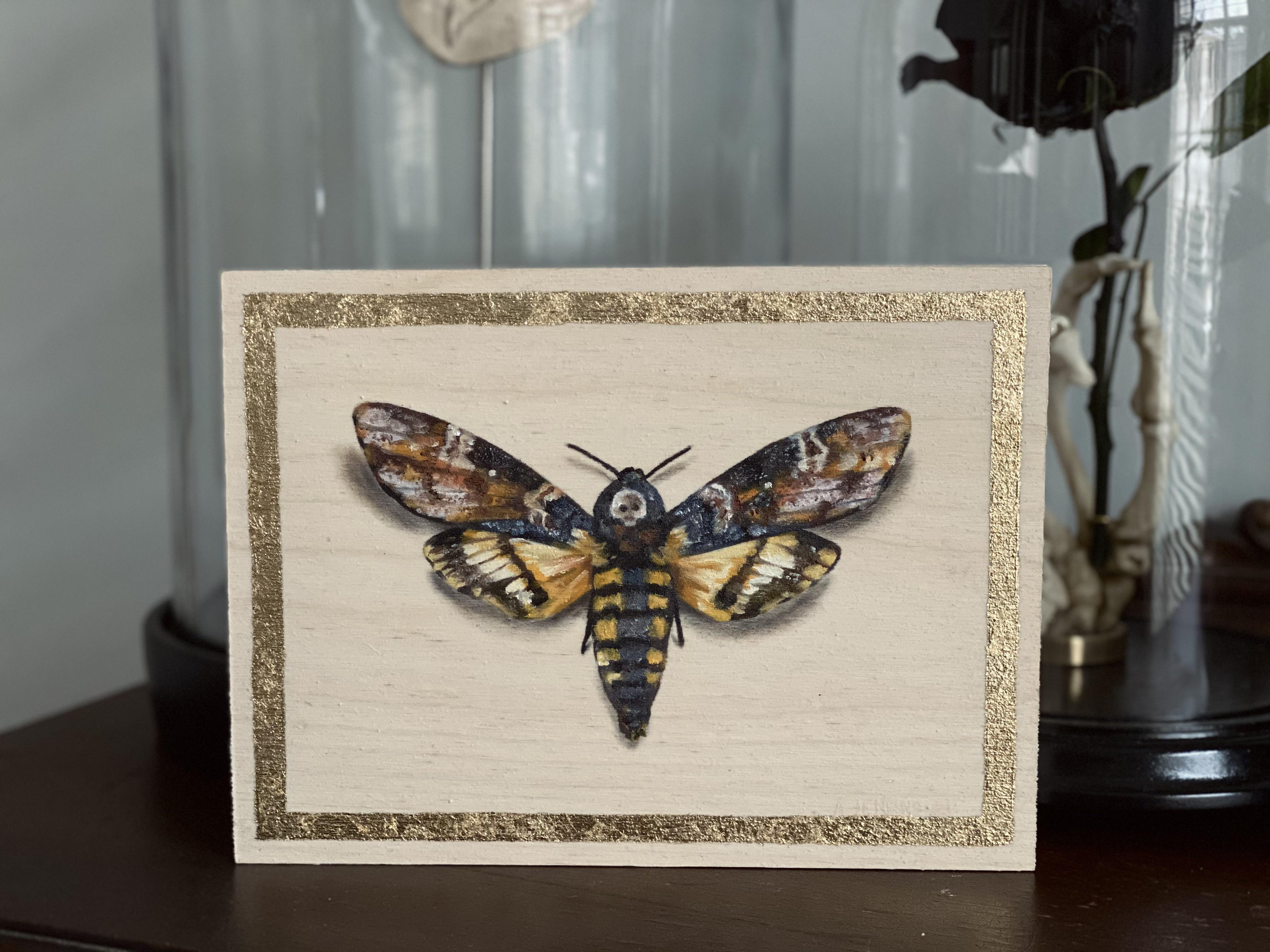 First of a series of moths I’m painting, oil and gold leaf on birch. r/Entomology