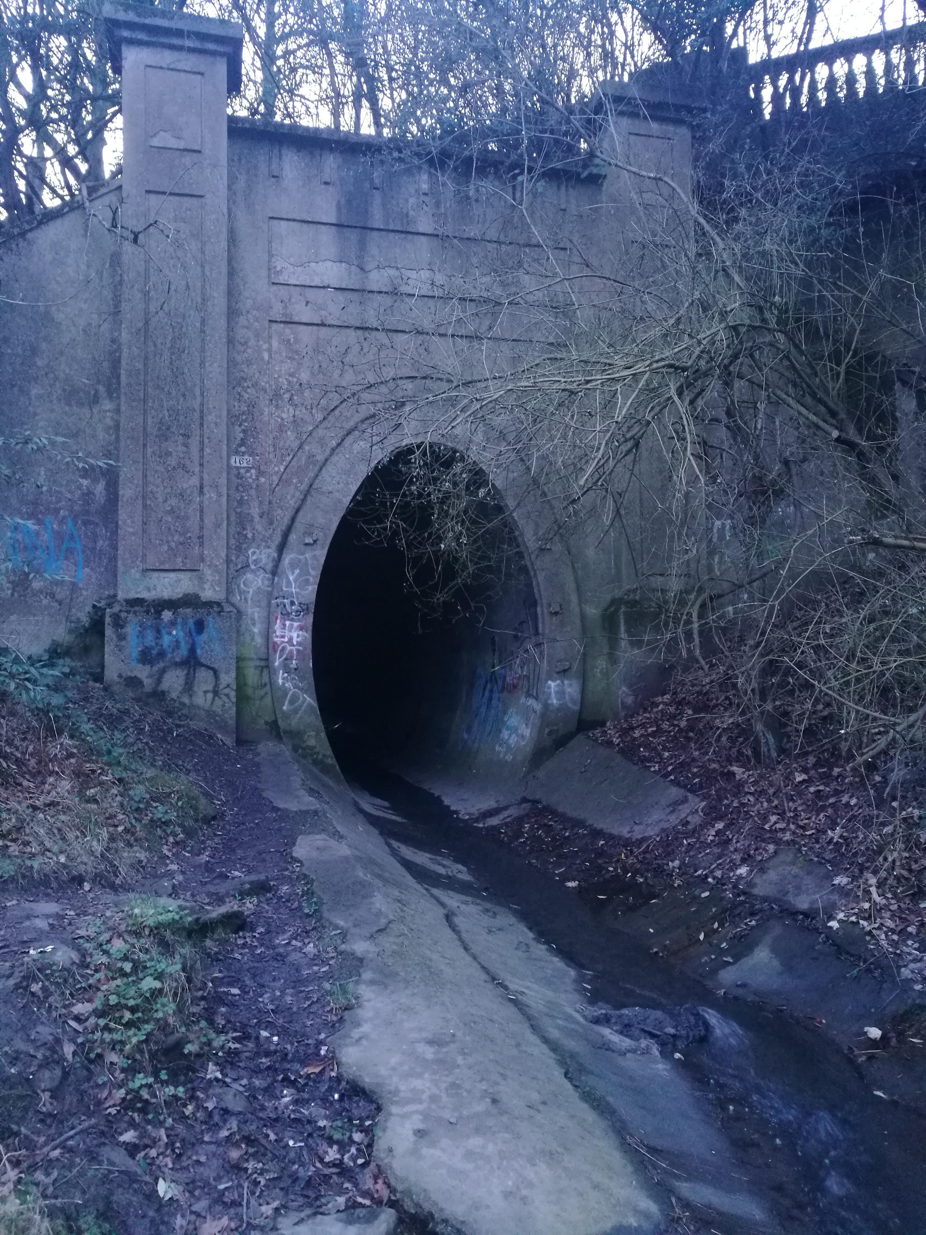 The Horseshoe. Underneath York Avenue Jarrow. Victorian over