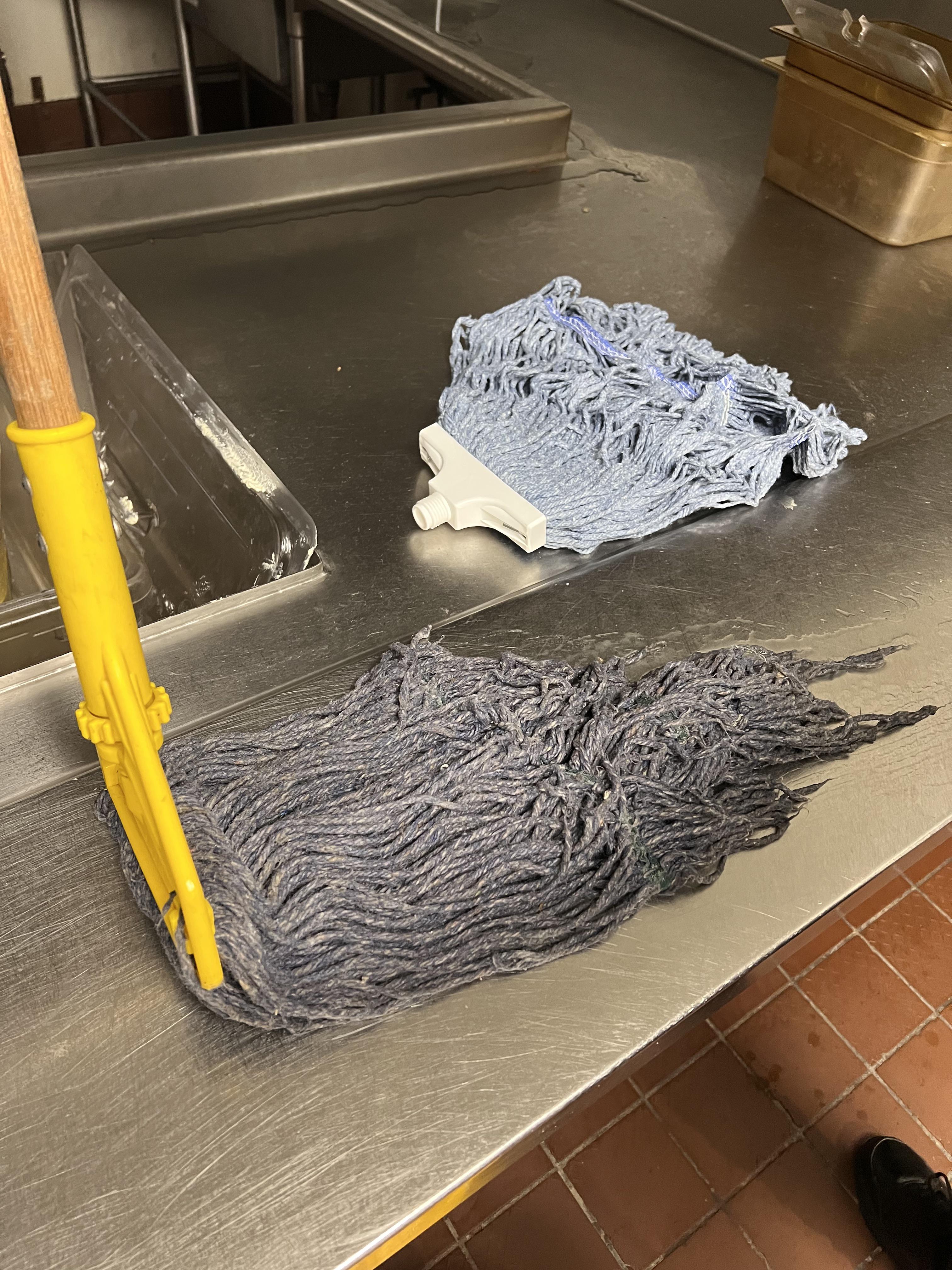 New mop head alert ‼️ r/dishwashers