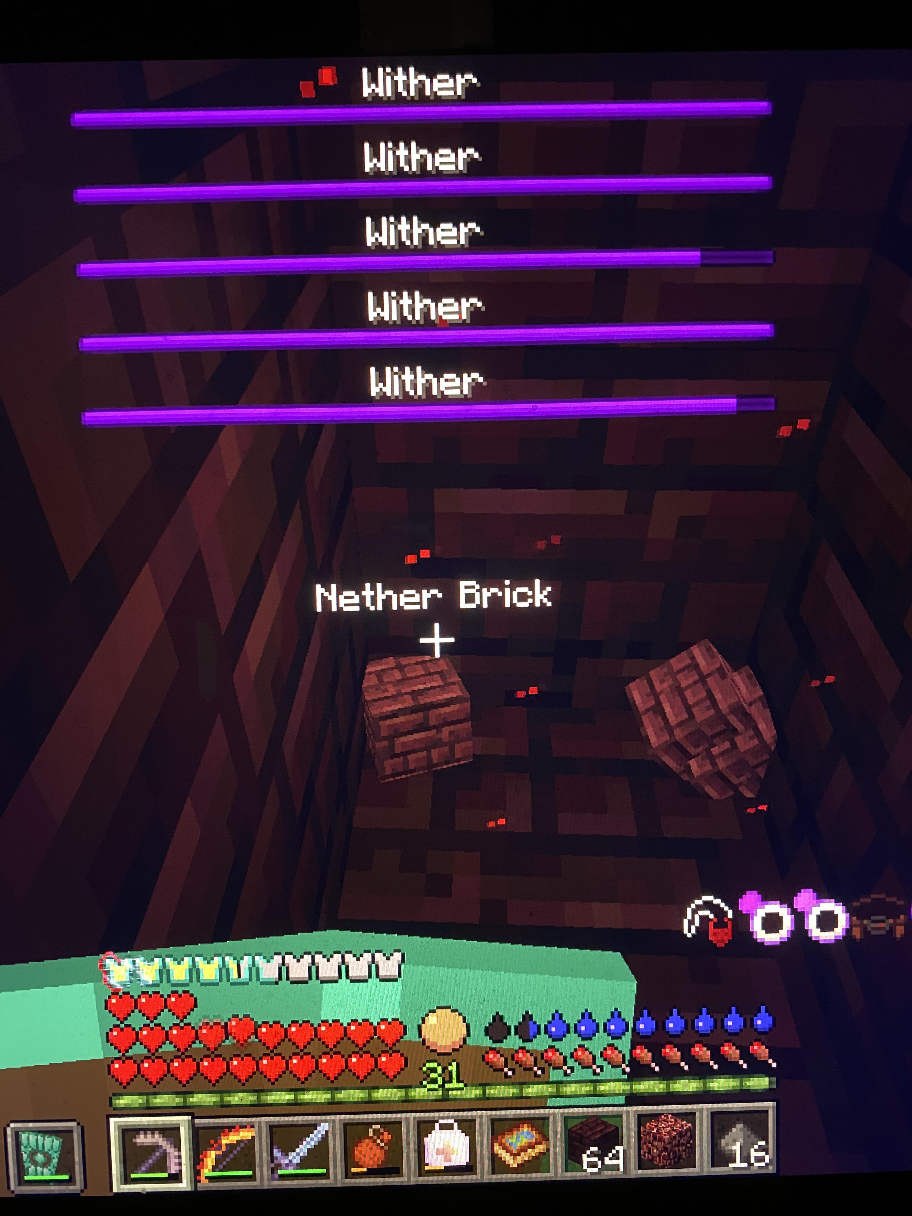 Found a wither spawner in the nether r/RLCraft