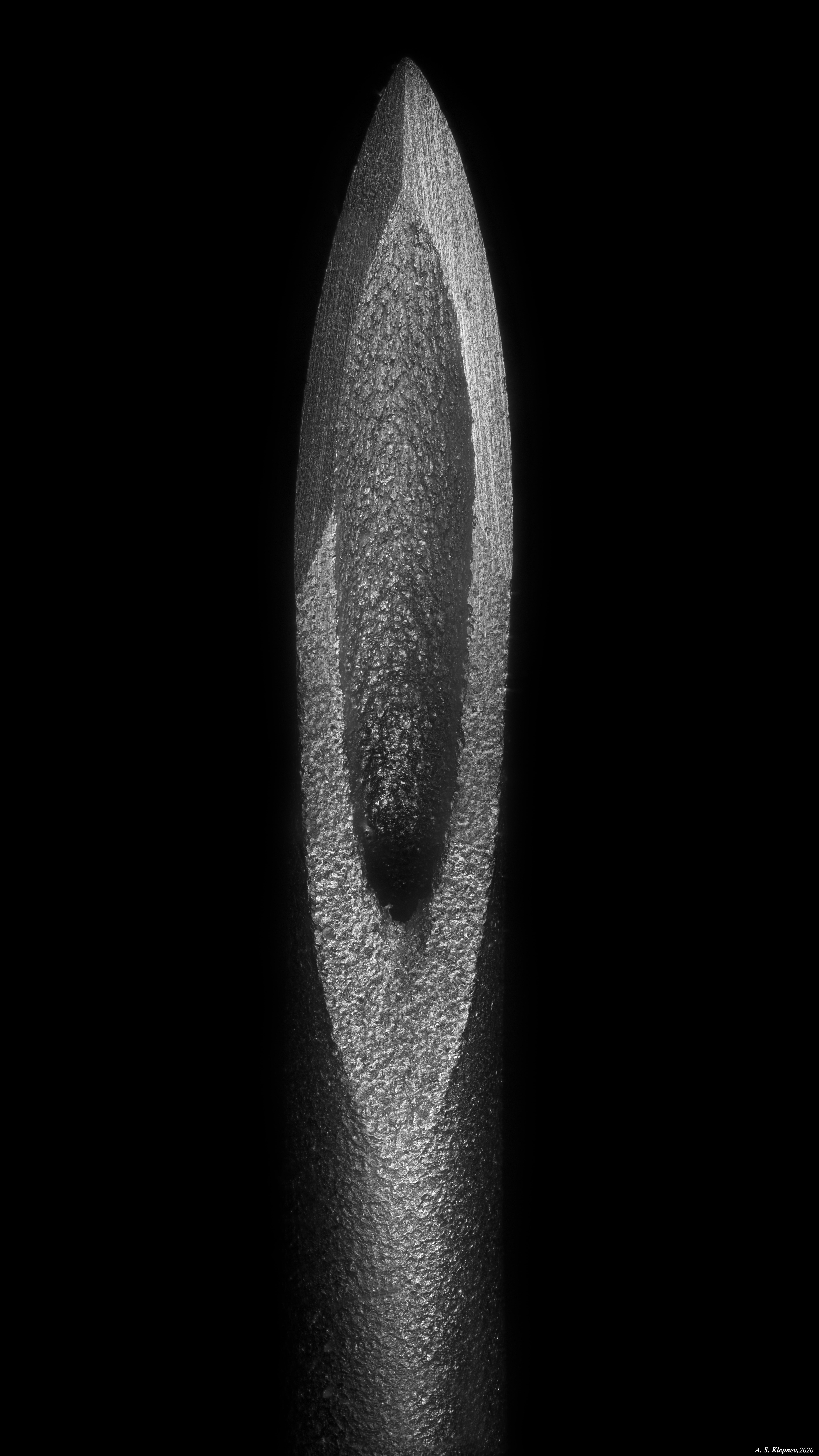 Syringe needle under the microscope r/MicroPorn