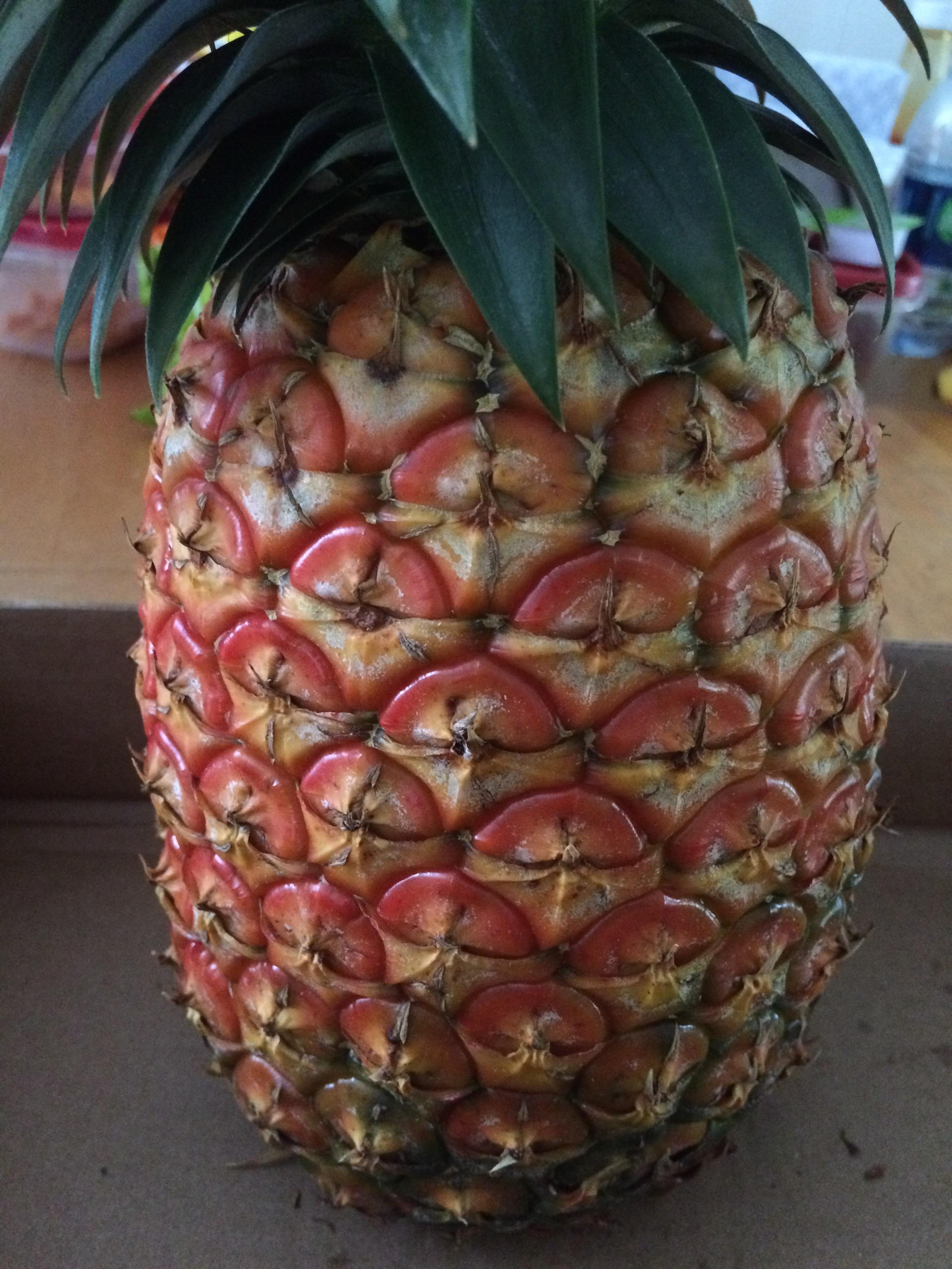 Meli Kalima Pineapple / International Pineapple Organization Ipo Winter