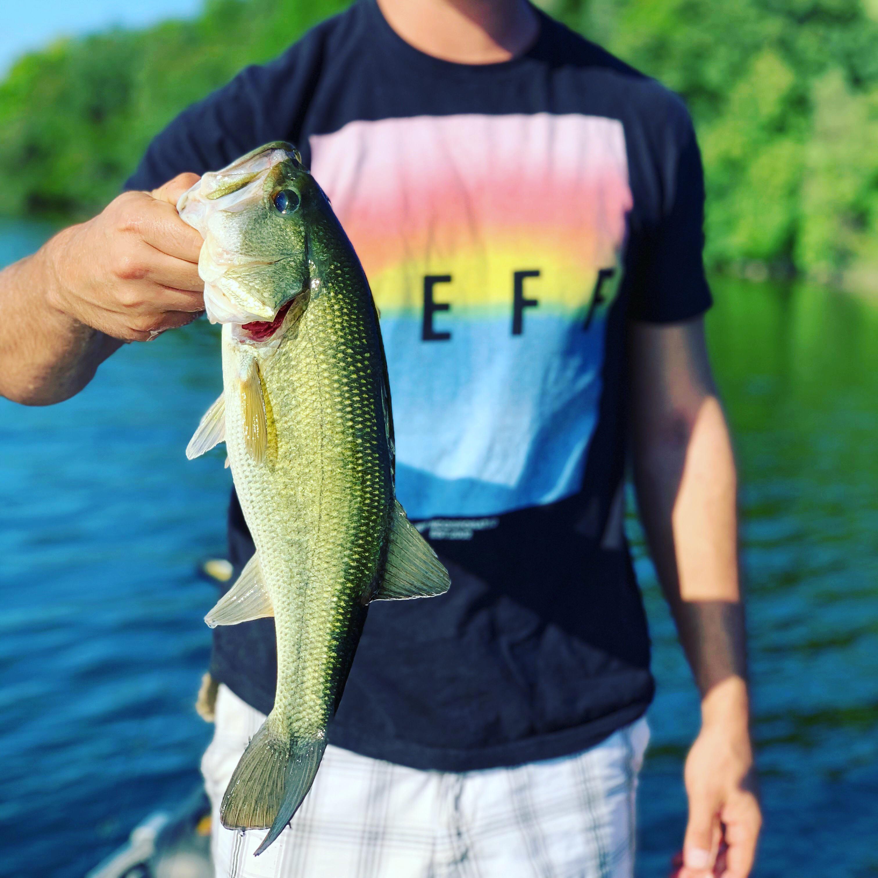 Large mouth bass. Oconomowoc lake r/wisconsin