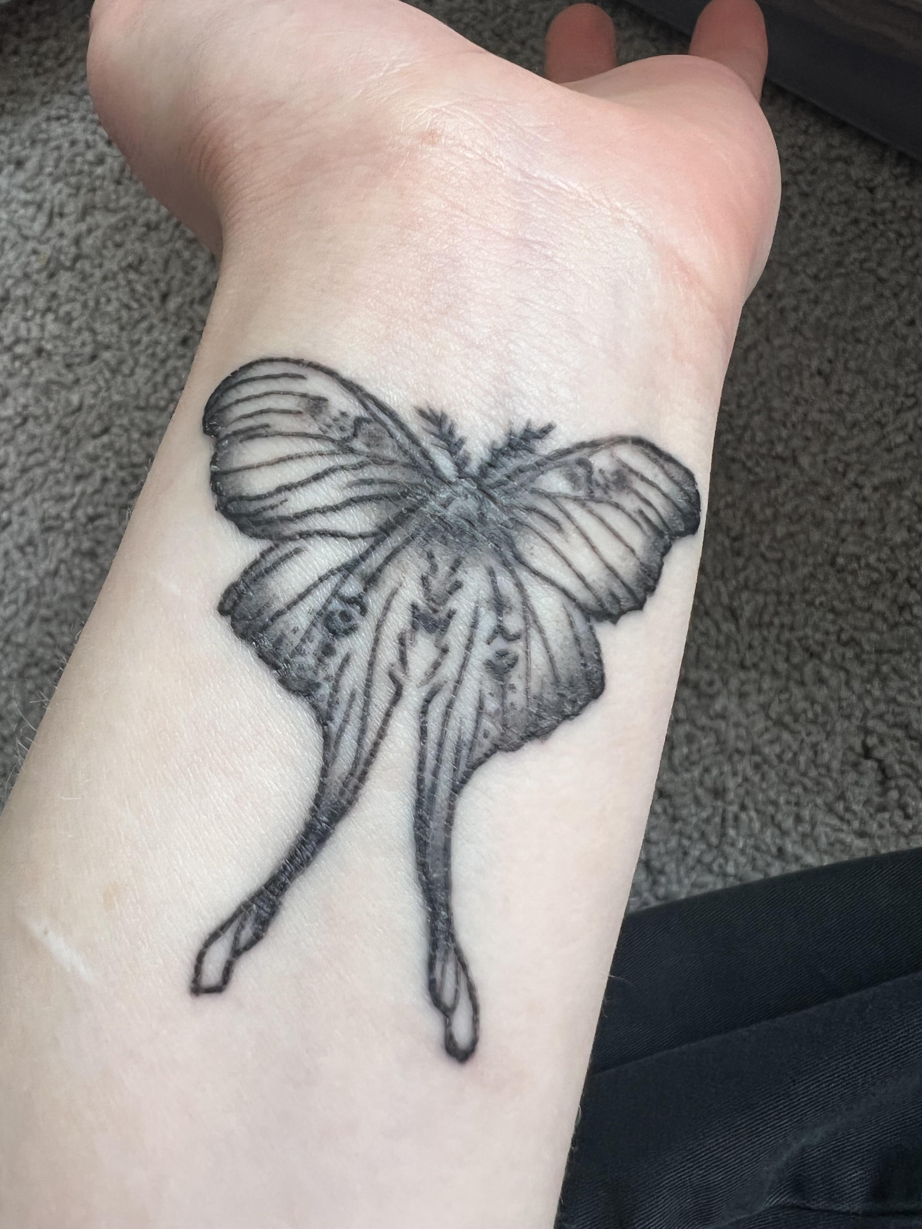 5 day old tattoo, washing and using lotion 4 times a day. Lots of