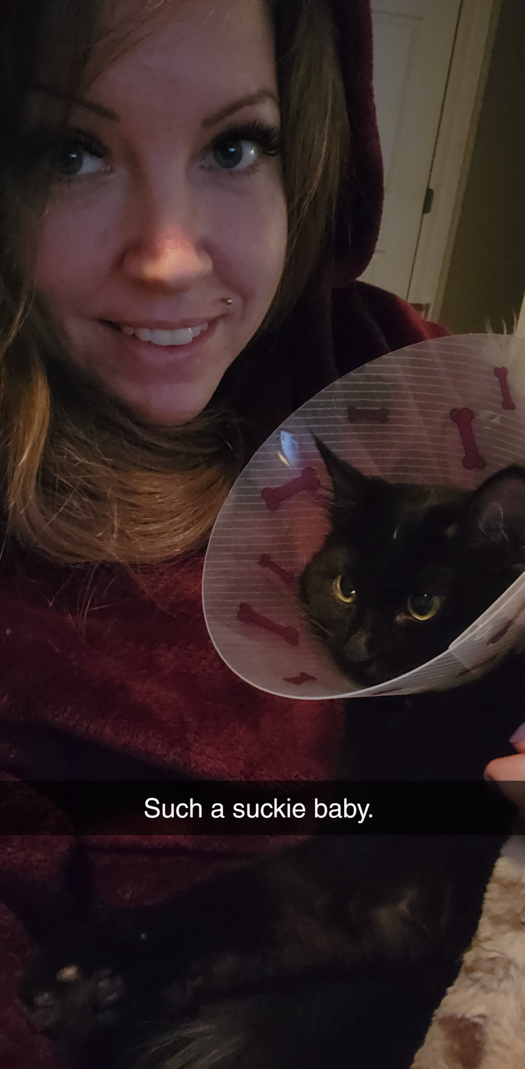 Personality changes after spaying ? Day 5 from surgery, and she's soooo