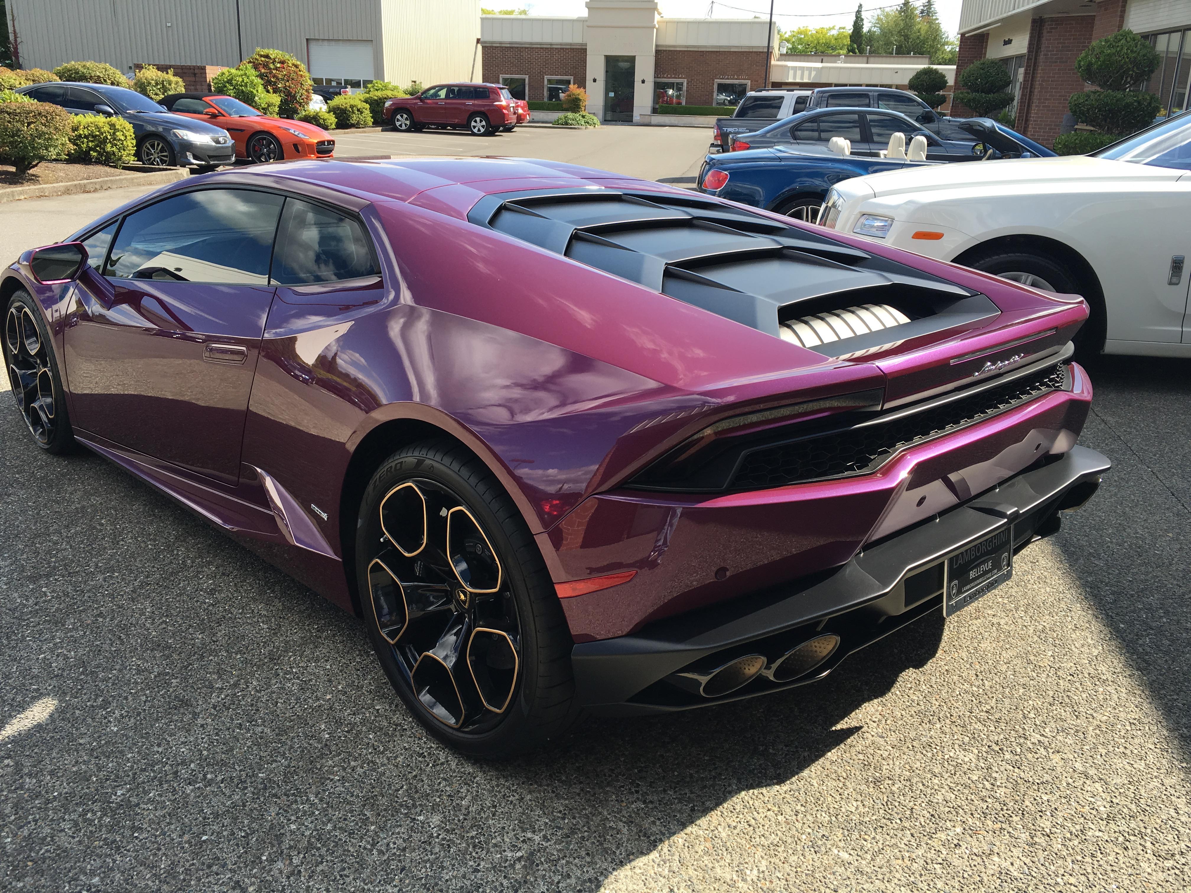 LP610 in very rare Viola Ophelia