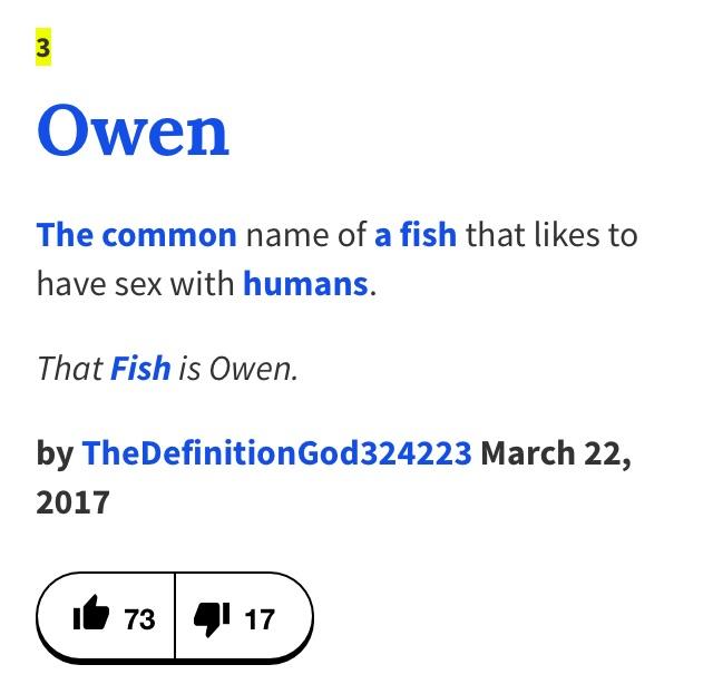 Urban Dictionary hit the nail on the head with this one r/Owen