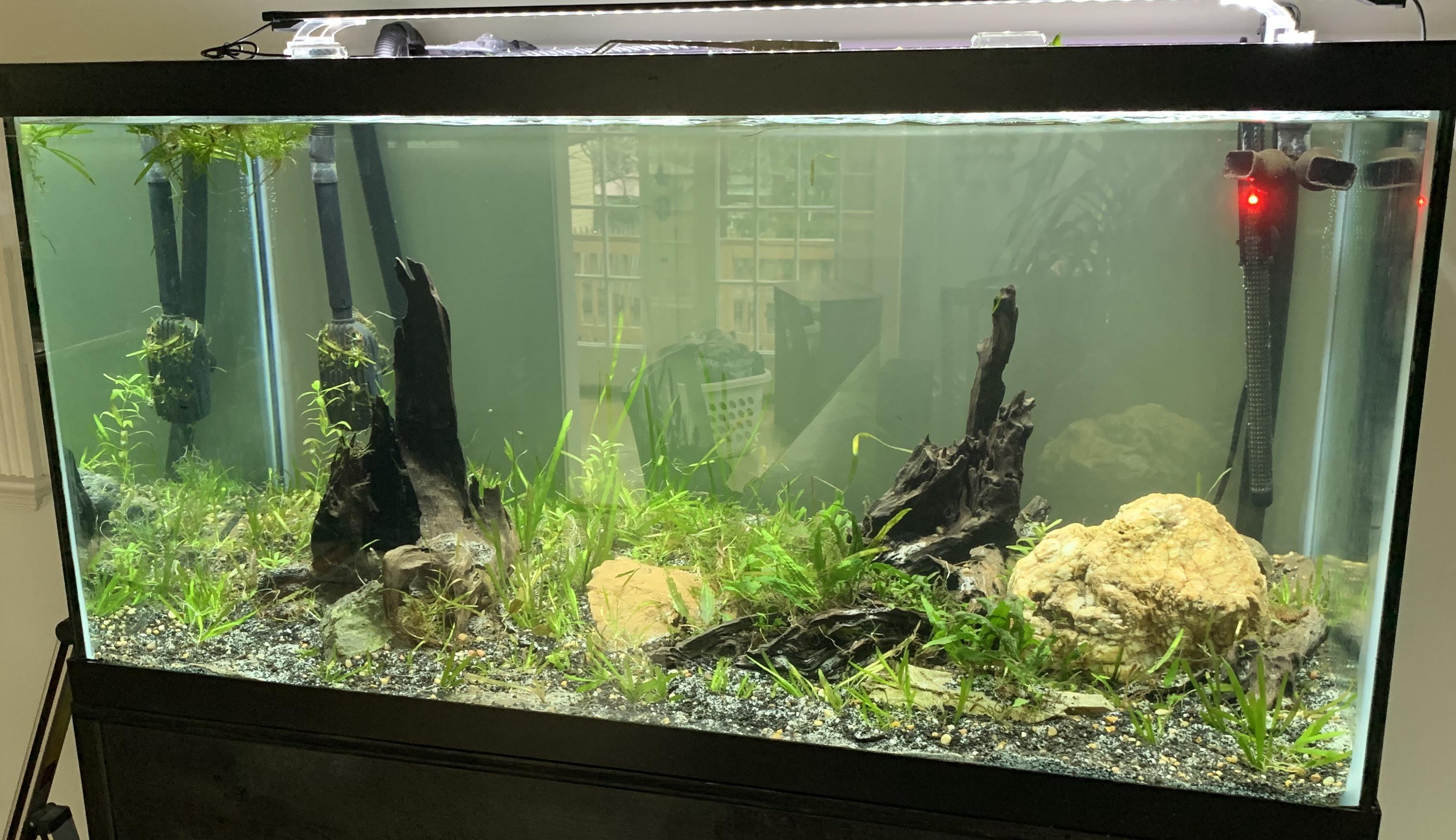 My recently resealed aquarium. I wonder how quickly reddit can guess