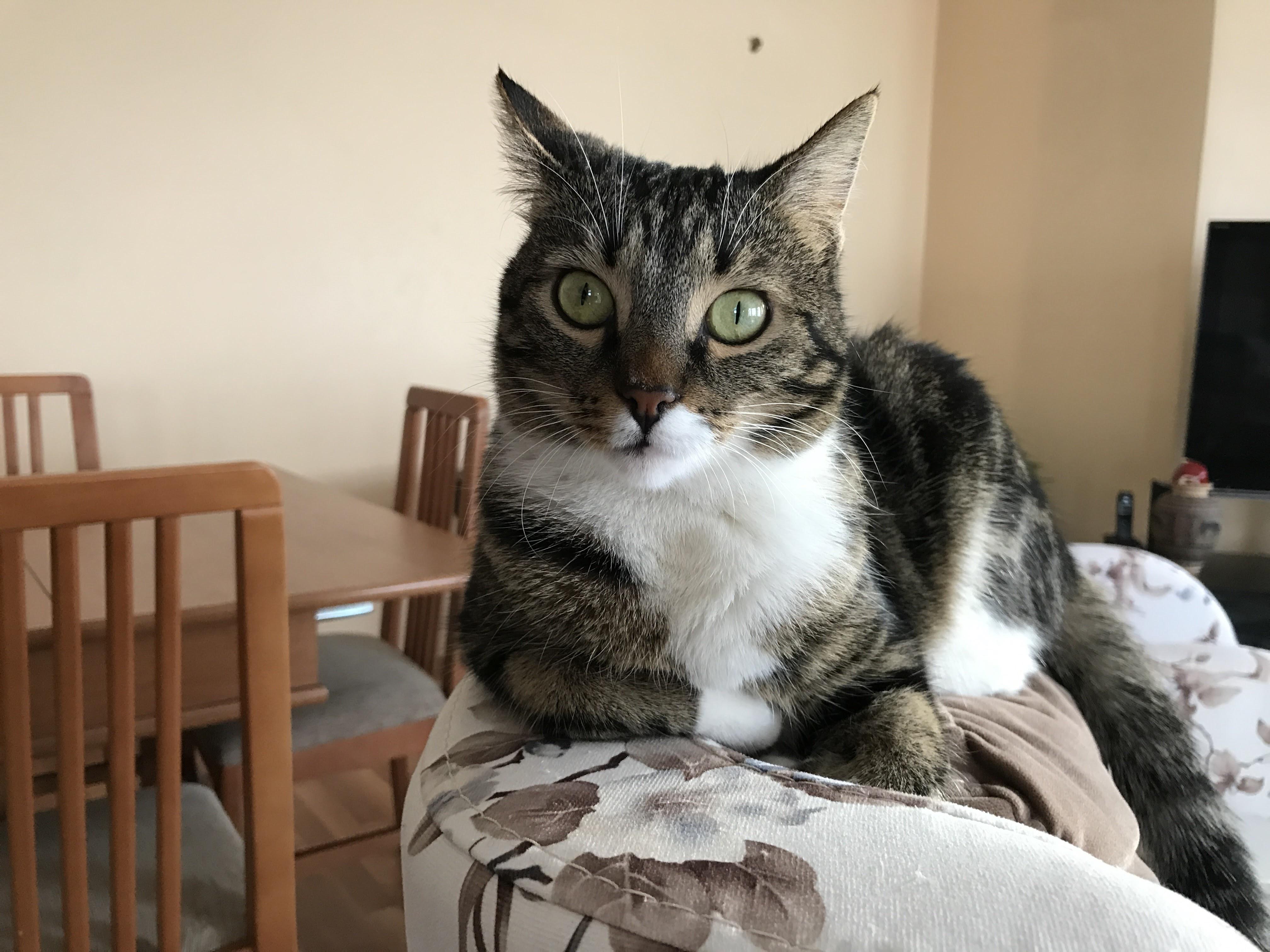 She ran off the balcony and jumped from the 7th floor.. in last 6 years