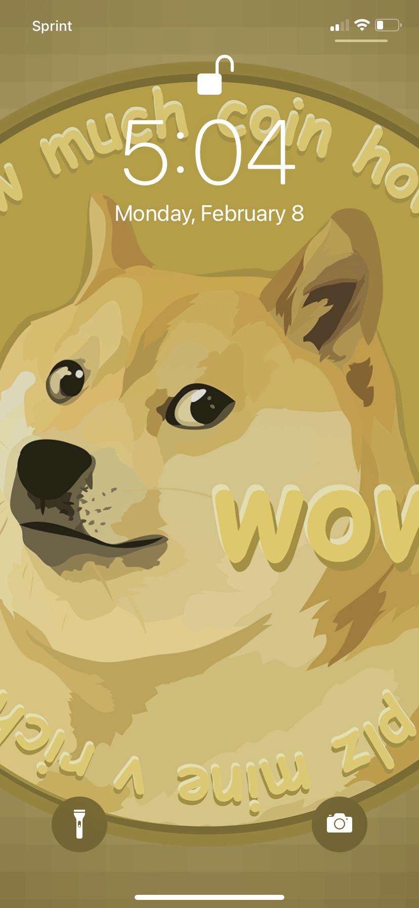 Doge Iphone Wallpaper