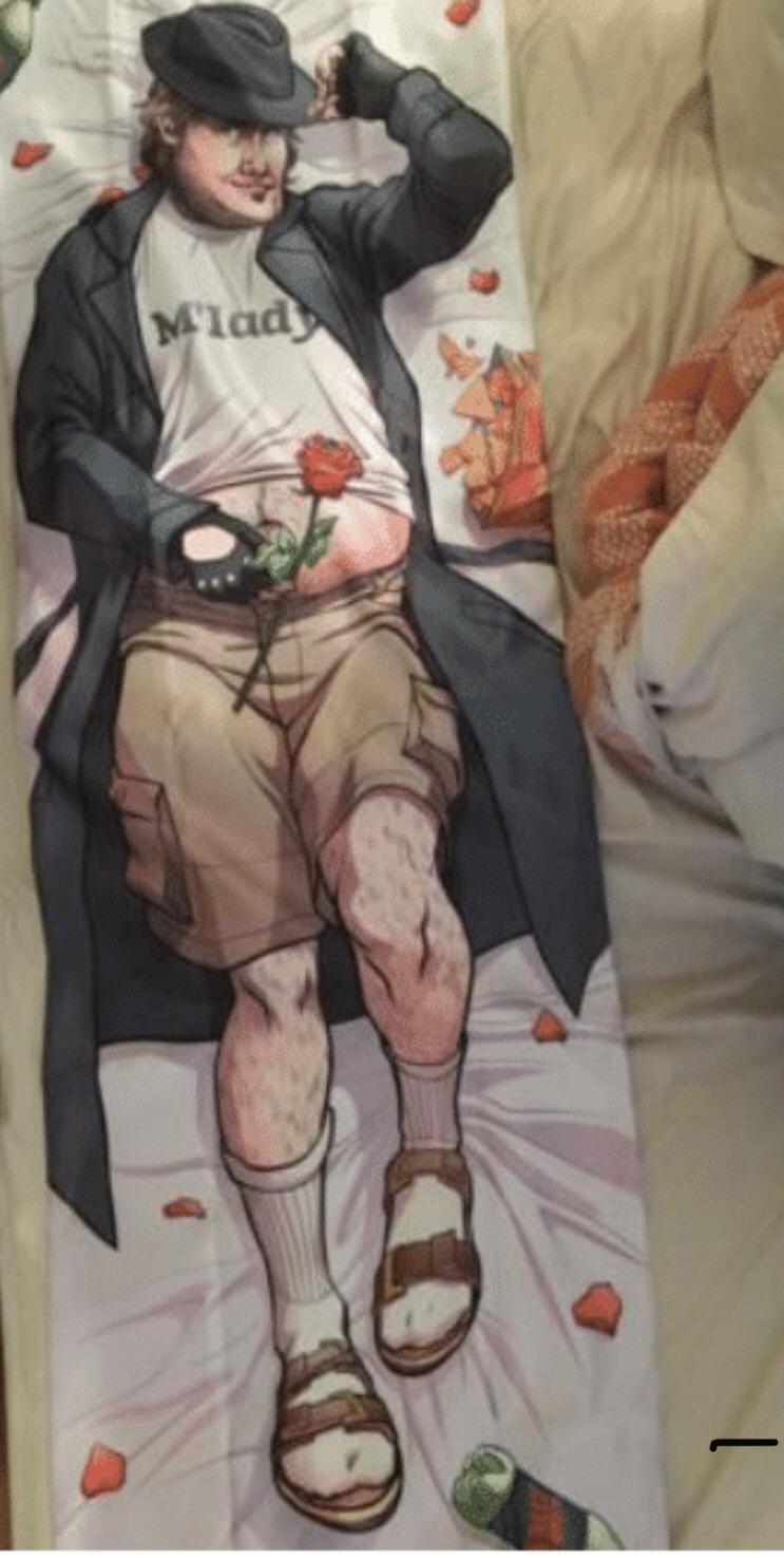 M'Lady, i believe you ordered this body pillow