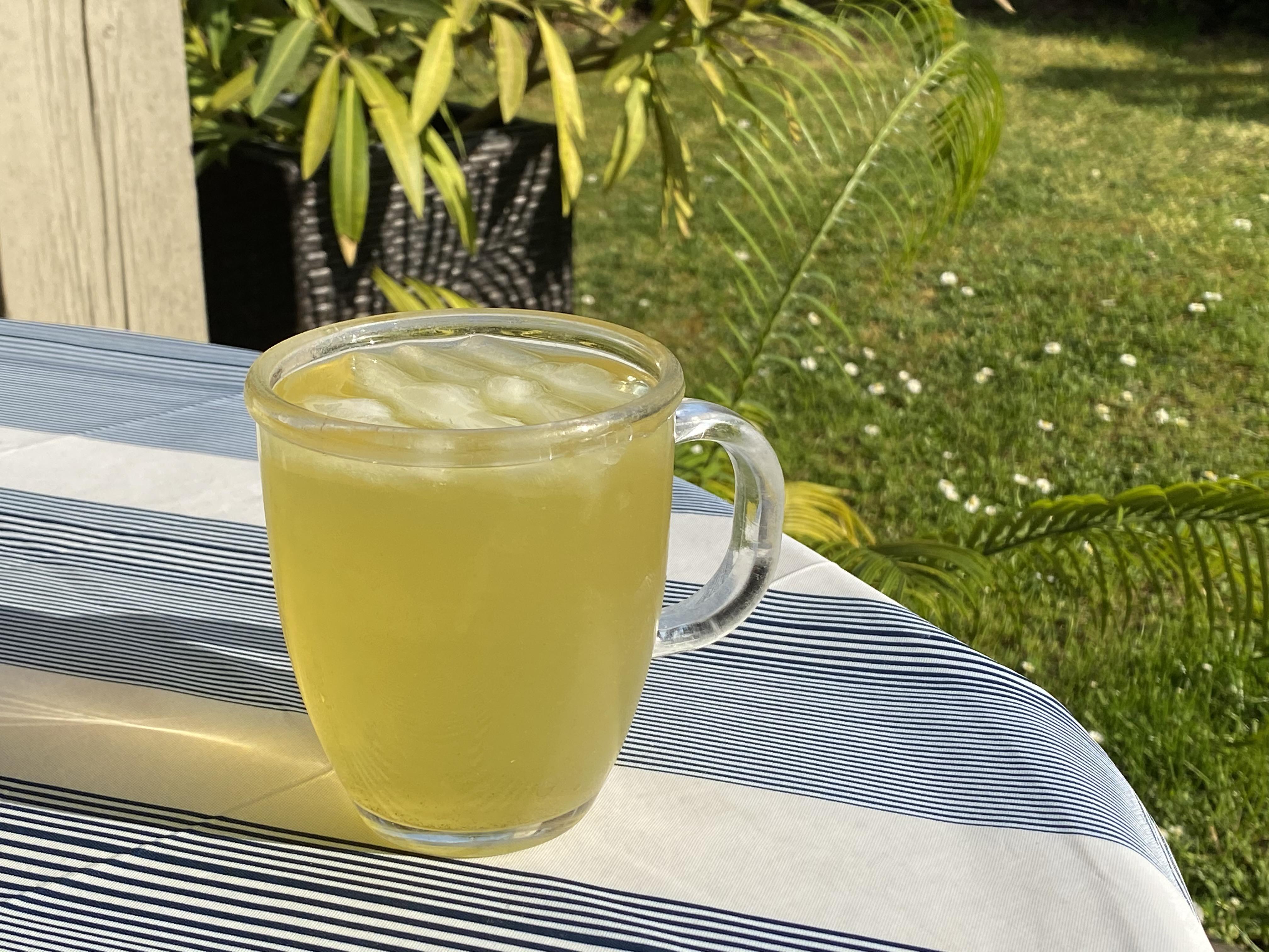 Cold brewed Sencha Ice Tea r/tea