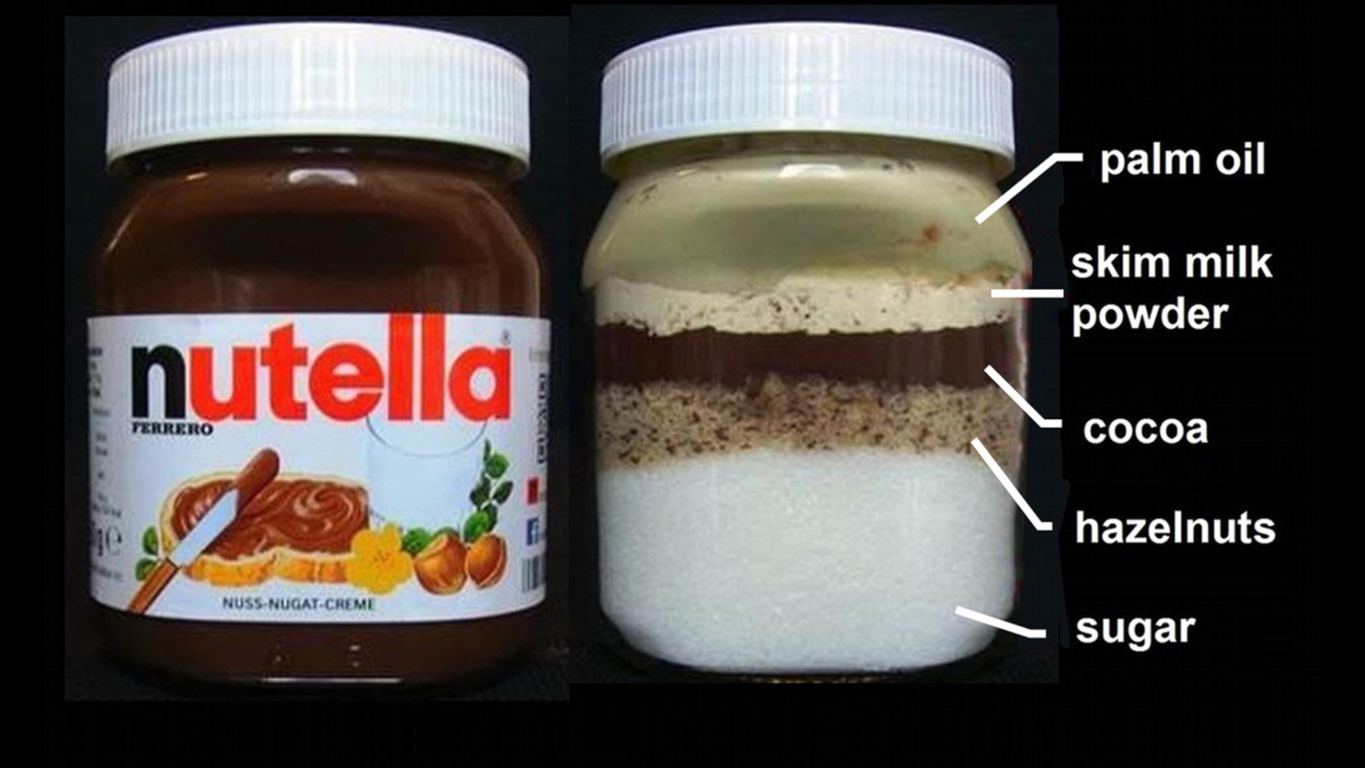 No wonder Nutella is so addictive. r/interestingasfuck