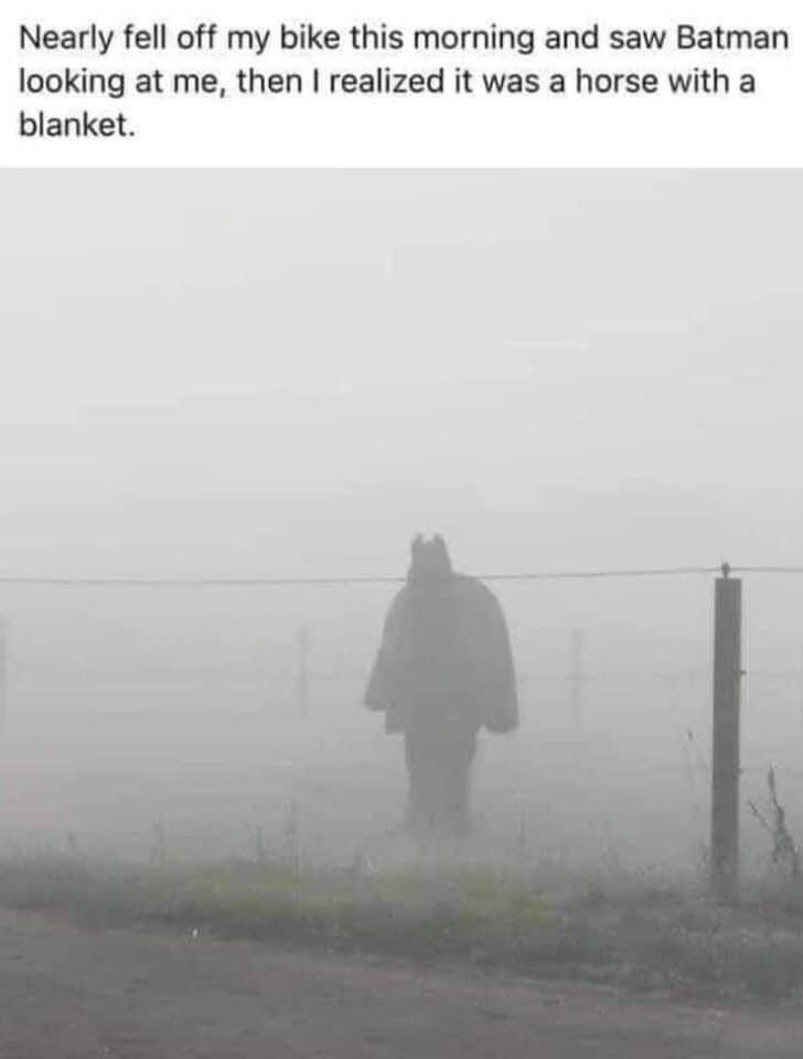 Sure looks like Batman r/MadeMeSmile