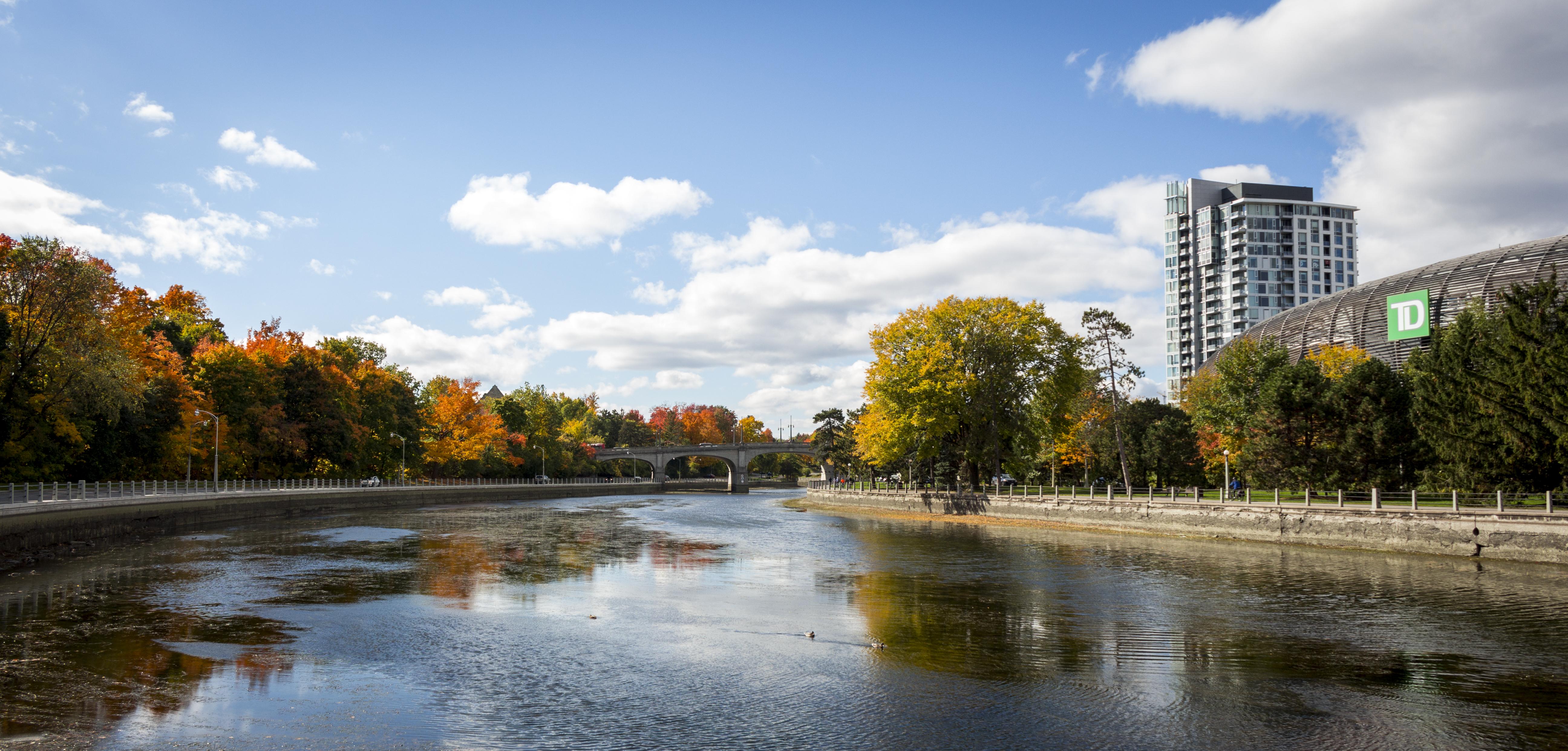 An Explosion of Colour at Lansdowne Park and the Rideau Canal r/ottawa