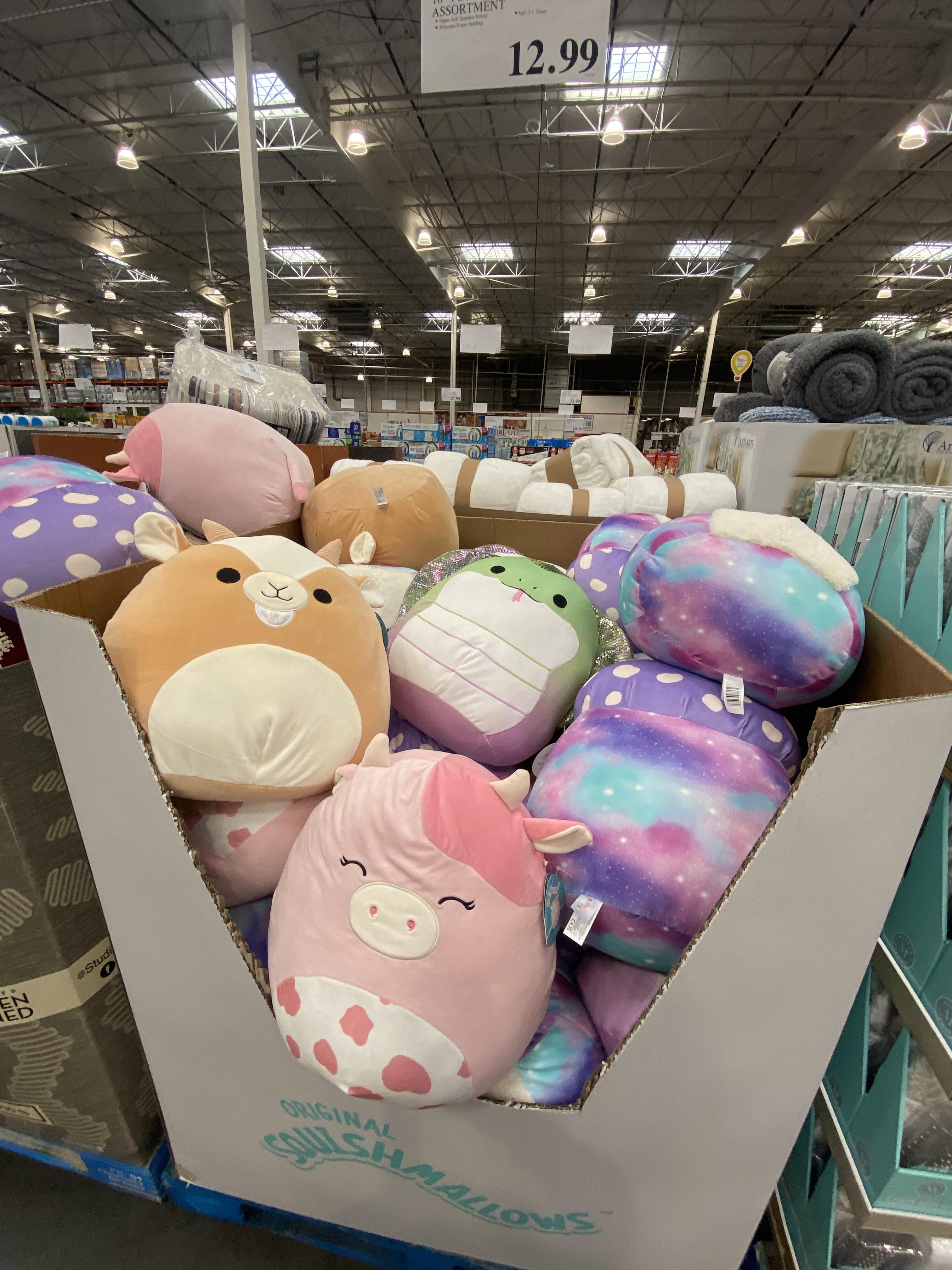 Pretty cute drop at Costco! r/squishmallow
