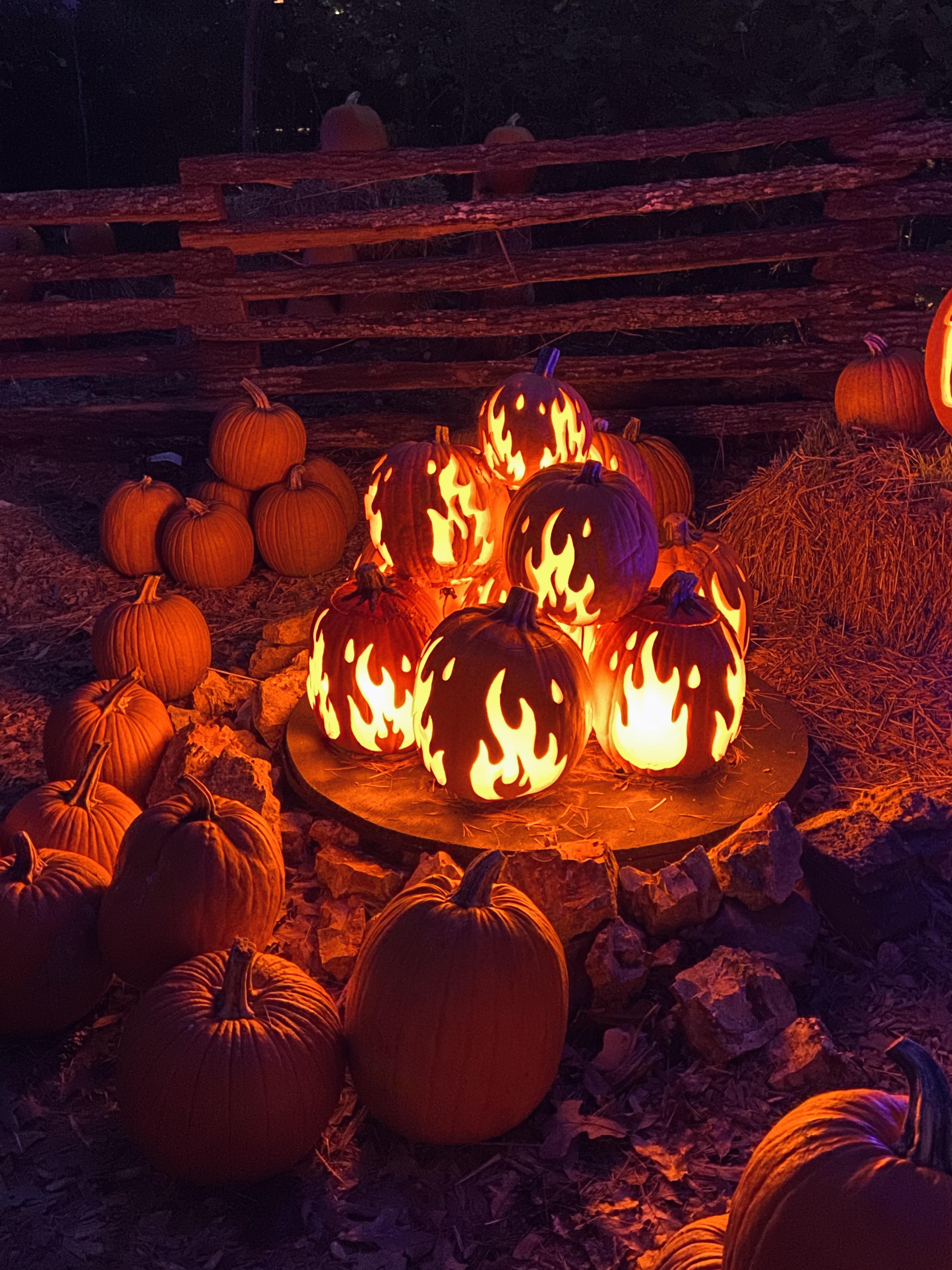 Pumpkin Bonfire r/halloween