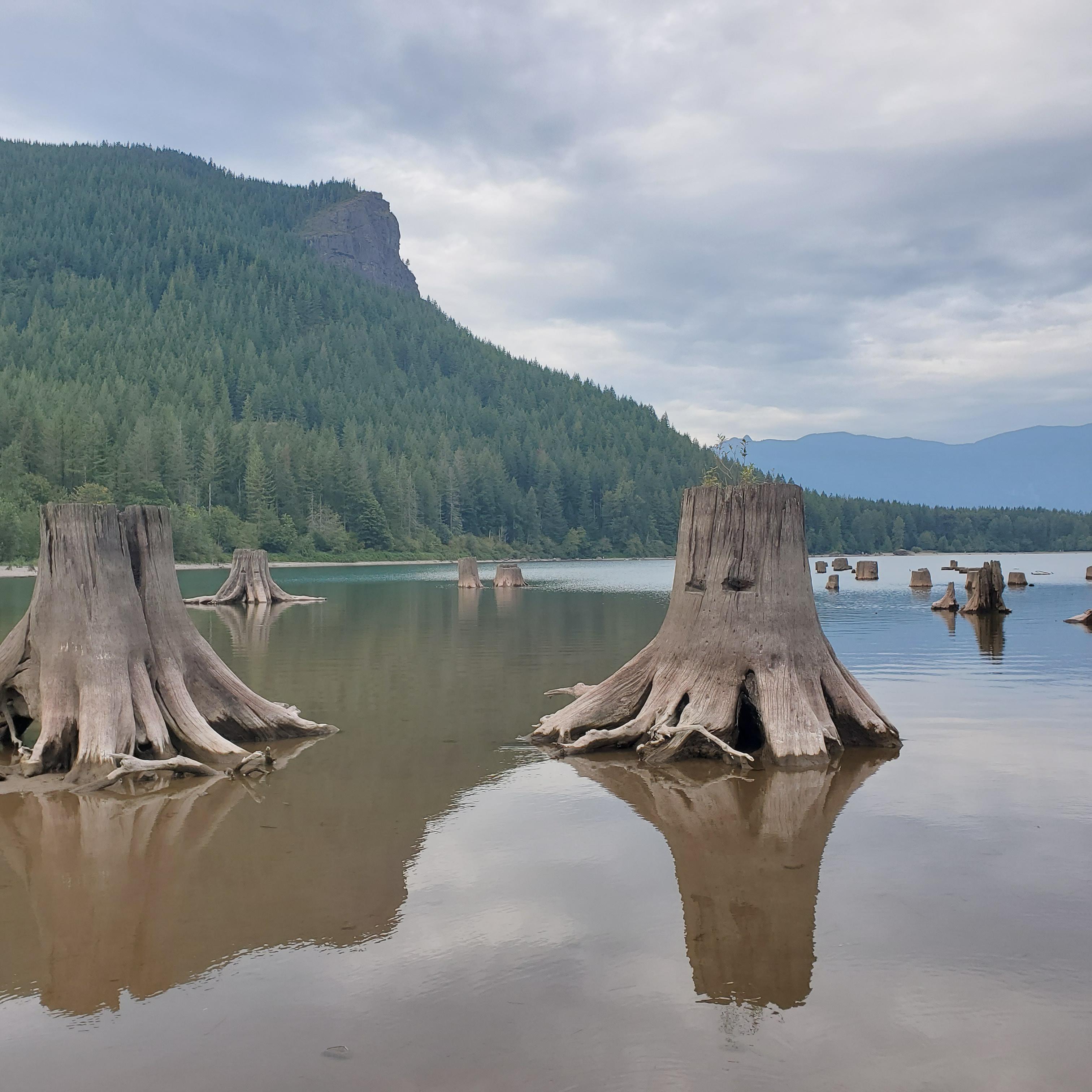 Rattlesnake Lake, Washington State, USA [3024x3024] (OC) r/EarthPorn