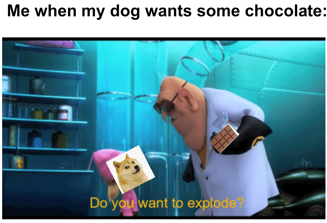 Chocolate dog big bad r/PewdiepieSubmissions