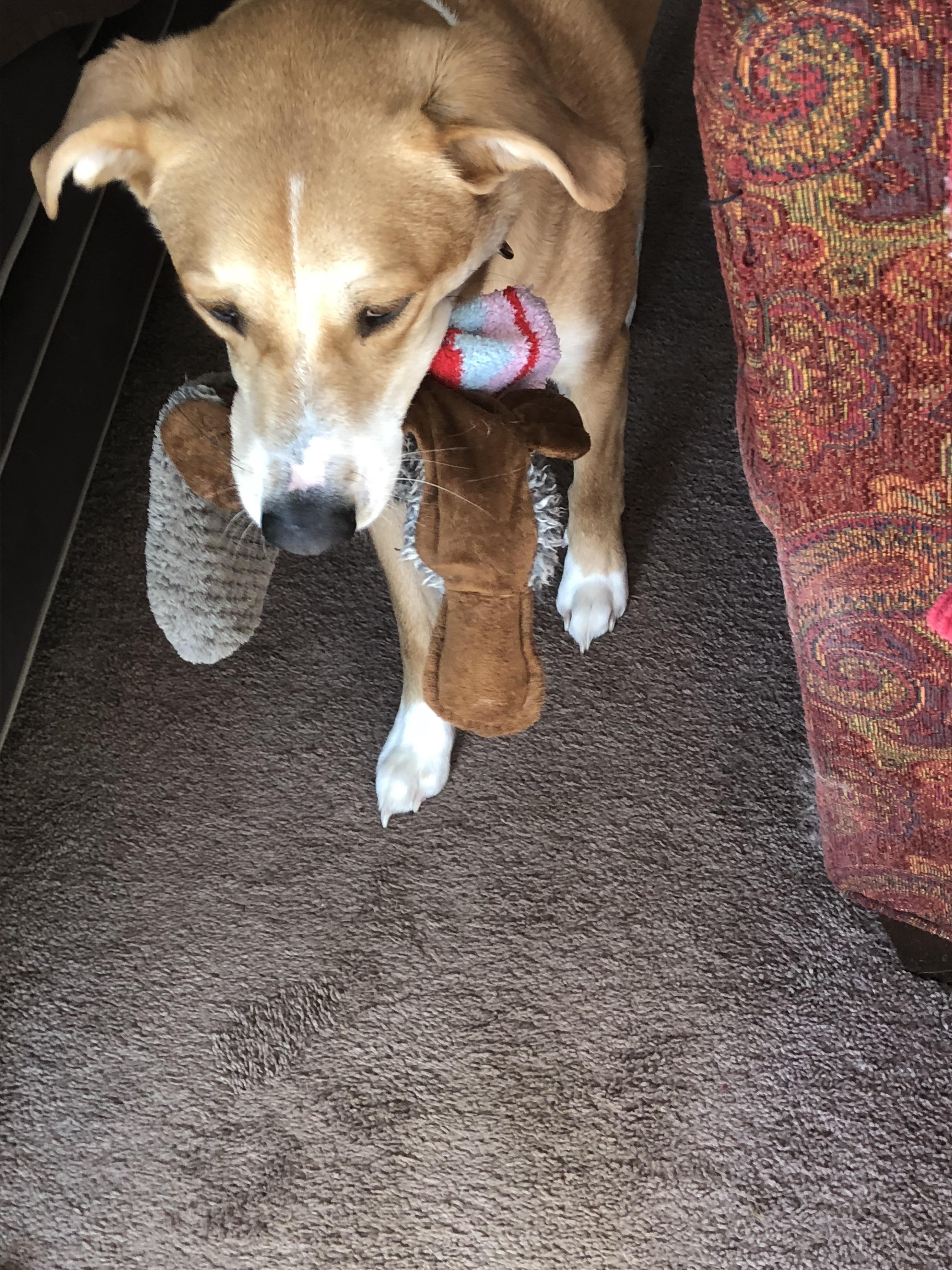 He isn’t allowed to bring his toys outside r/WatchPeopleDieInside