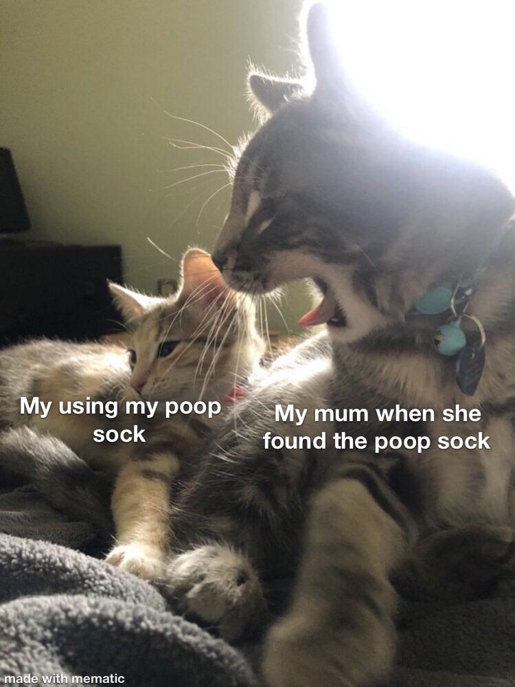 Poop sock r/memes