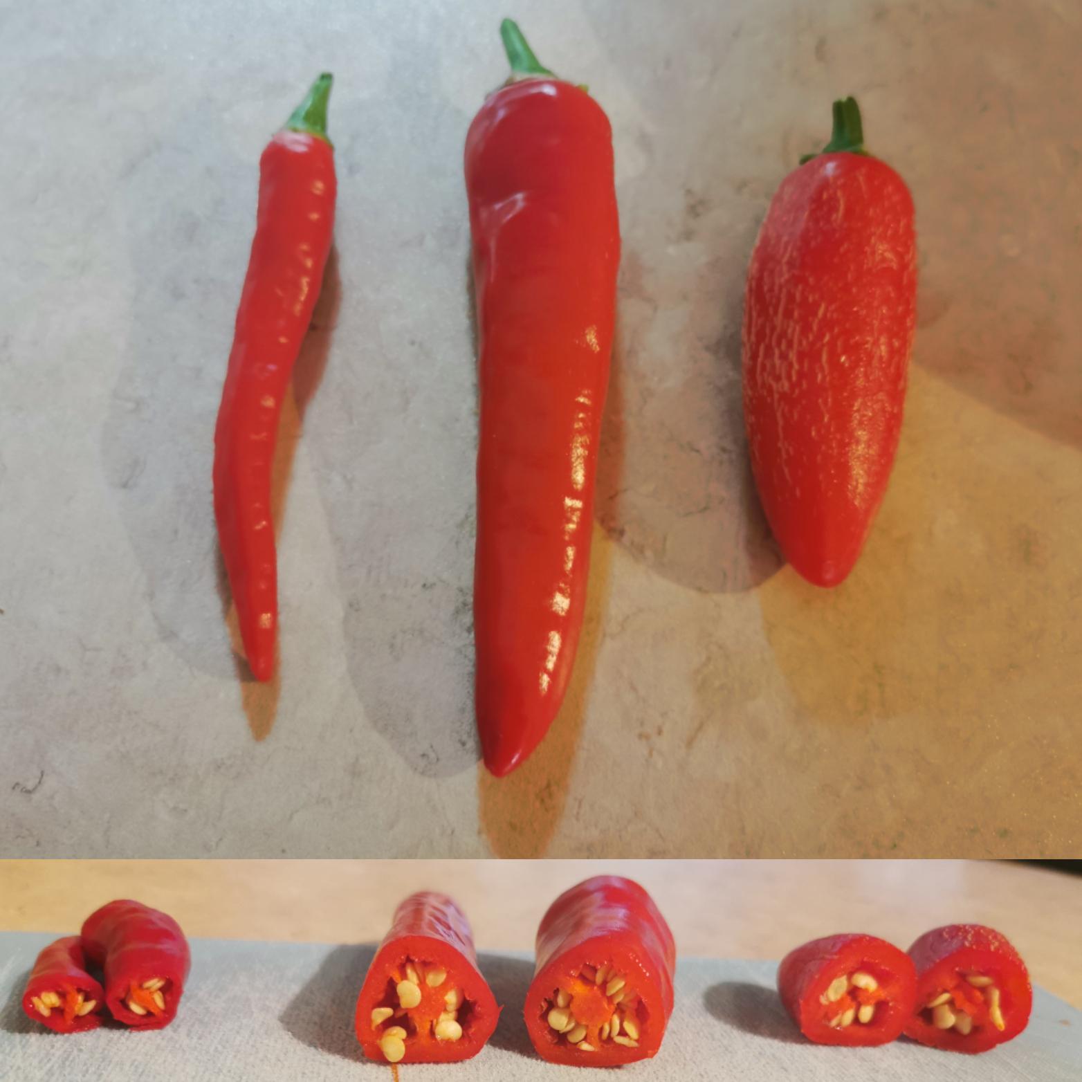 Cayenapeños results (Cayenne x Jalapeños) in comments r/HotPeppers