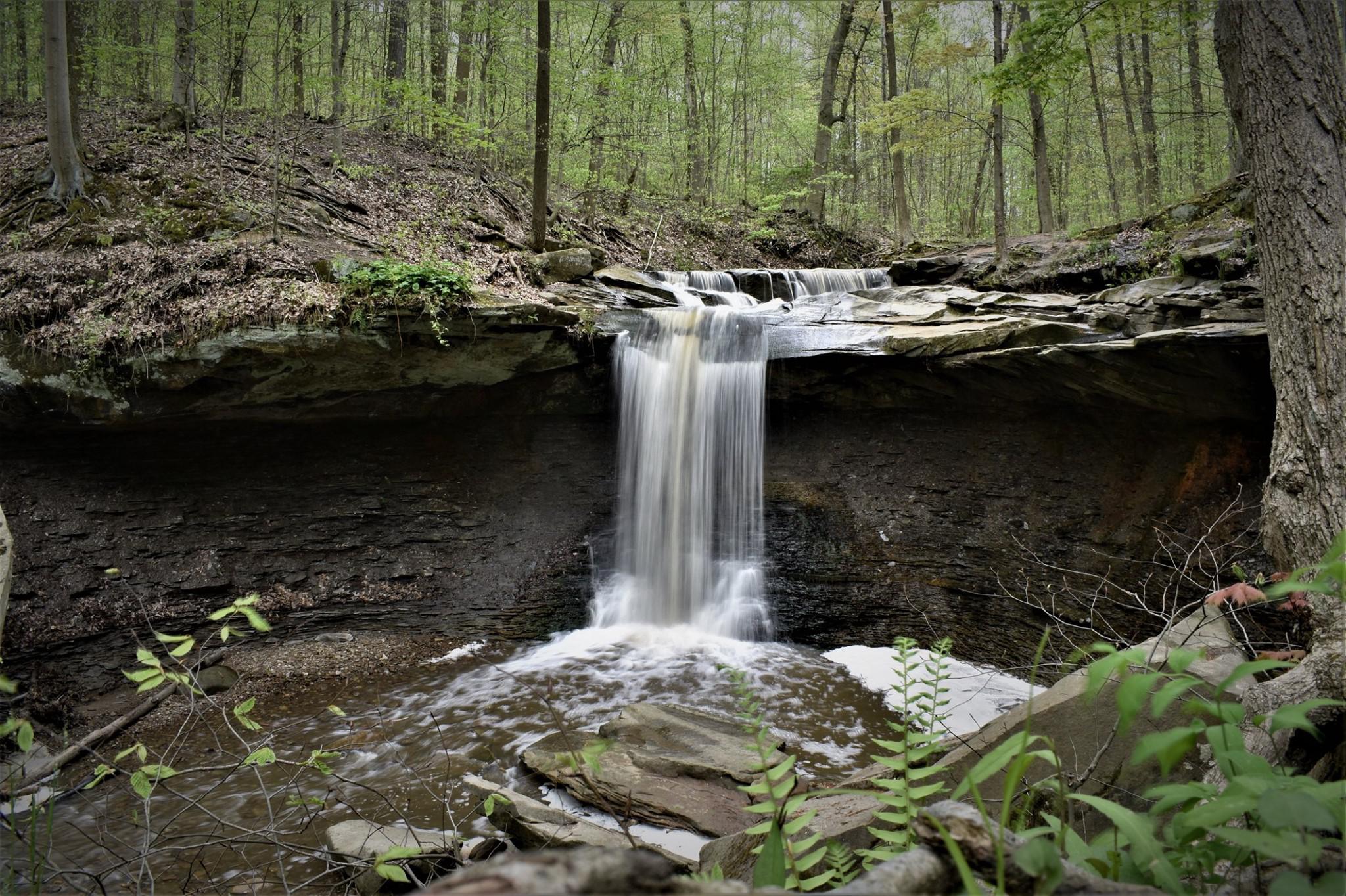 Blue Hen Falls at Cuyahoga Valley National Park r/Ohio