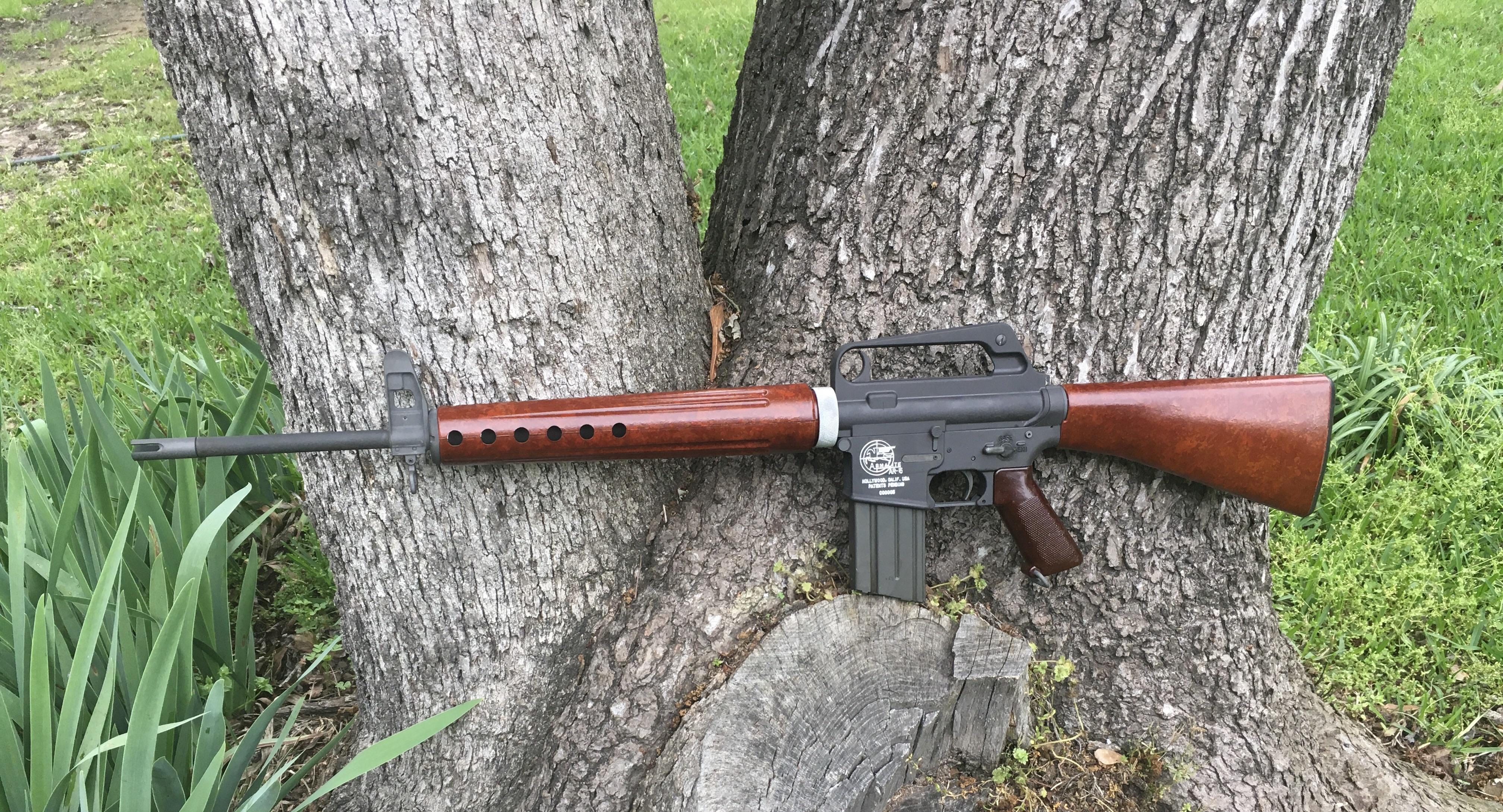 Hollywood Armalite AR15 clone r/ar15