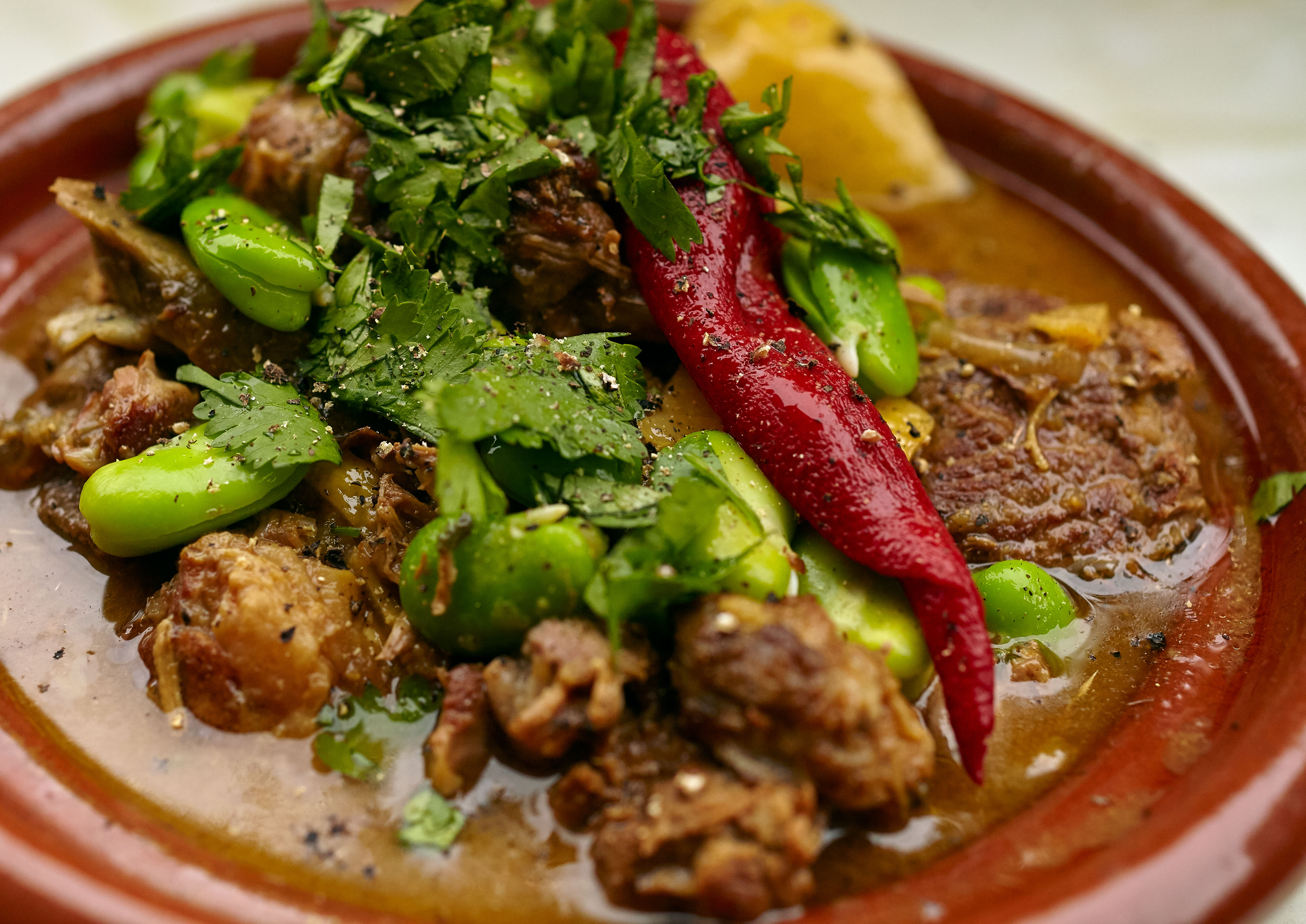 [Homemade] Moroccan Lamb Tagine With Fava Beans, Artichoke hearts and