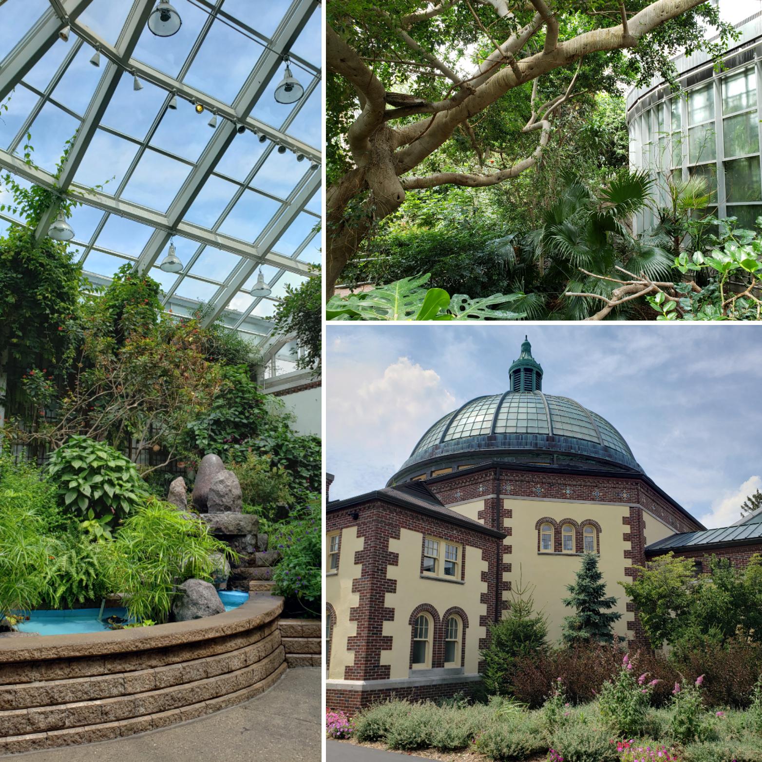 The Detroit Zoo Butterfly Garden is an underrated local treasure r/Detroit