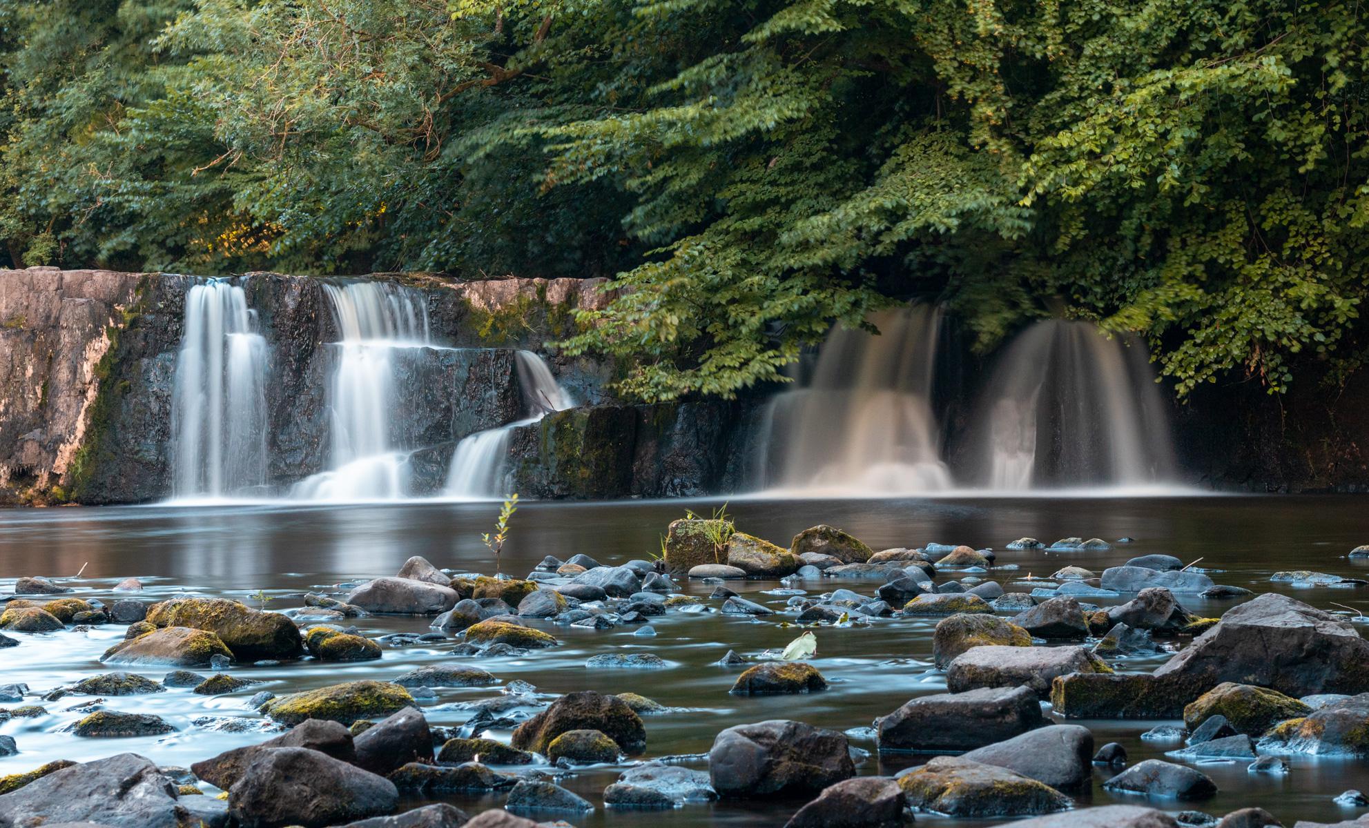 Picture from Linn Park r/glasgow