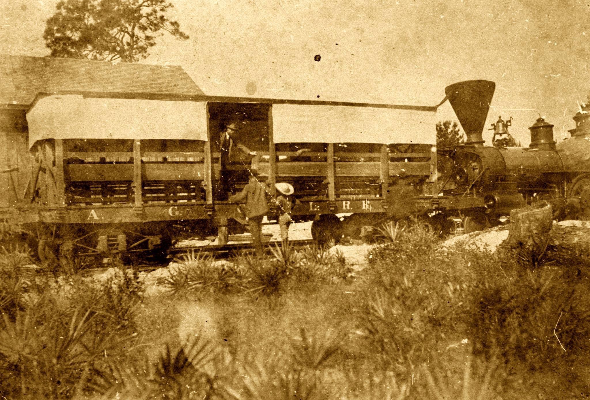 Arcadia, Gulf Coast and Lakeland Railroad. Manatee County Florida . 1892 r/FloridaHistory