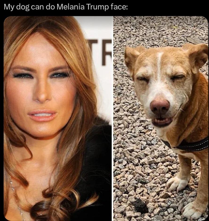 Twinning r/PoliticalMemes